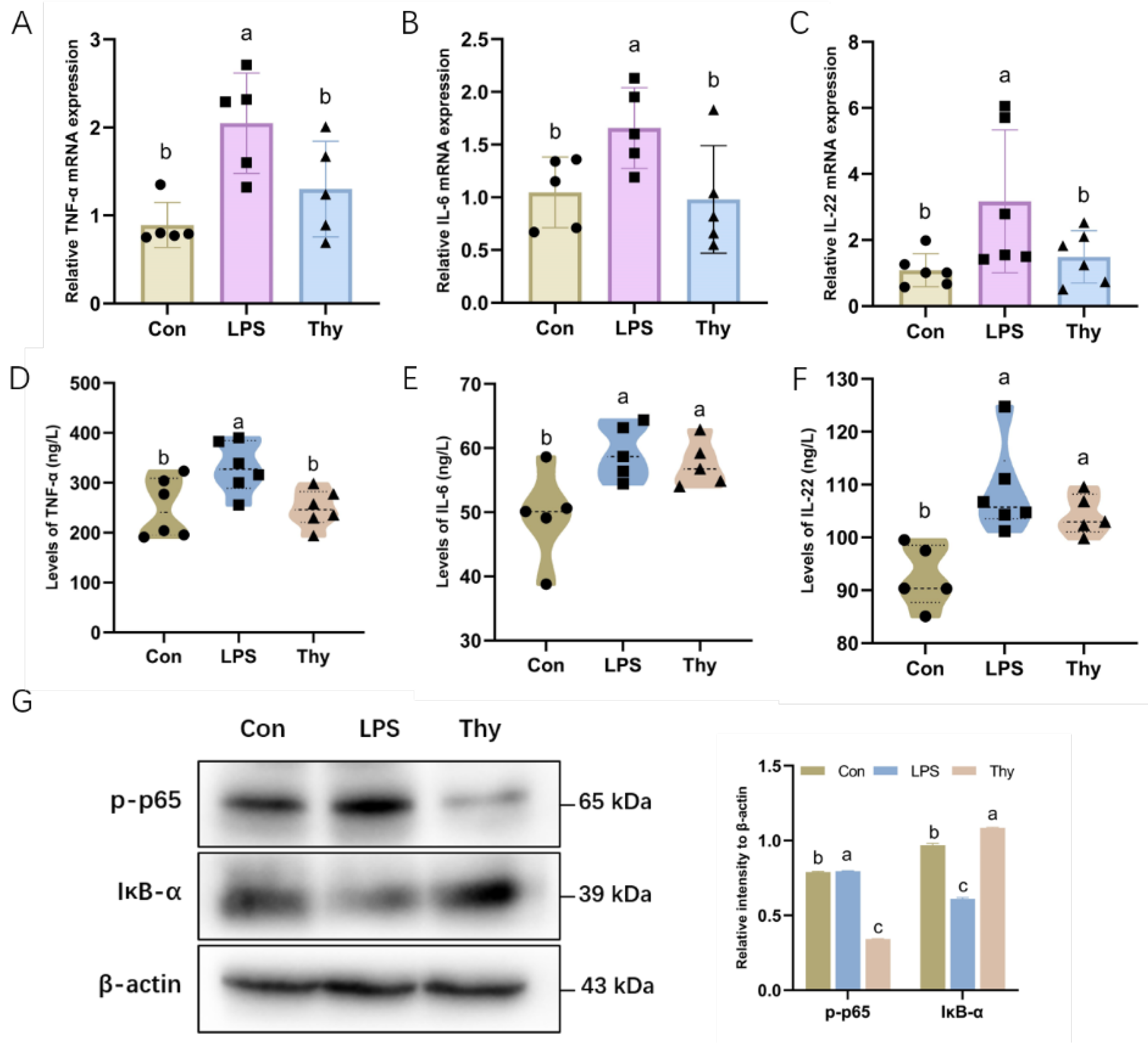 Nutrients 14 02809 g002