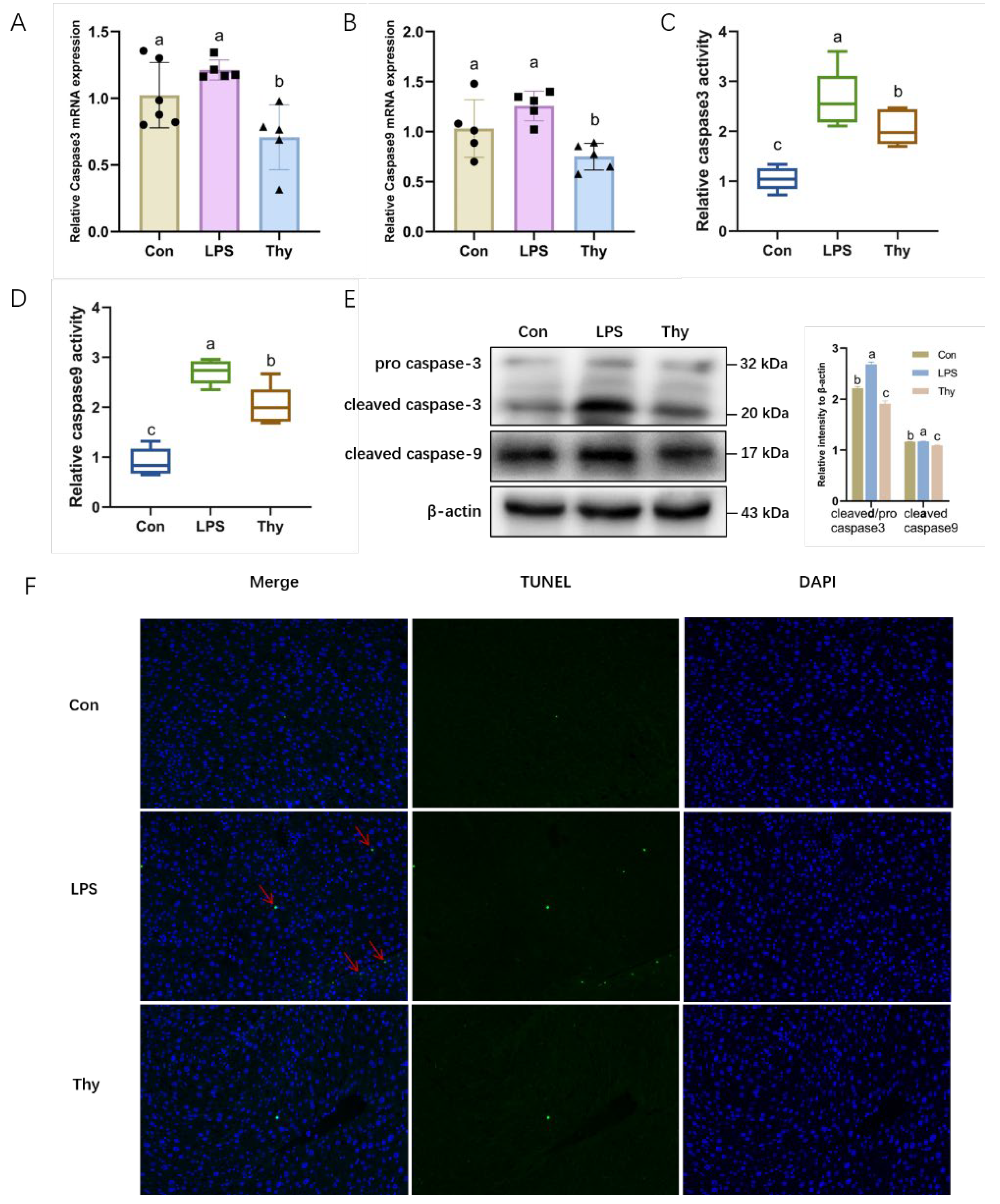 Nutrients 14 02809 g004