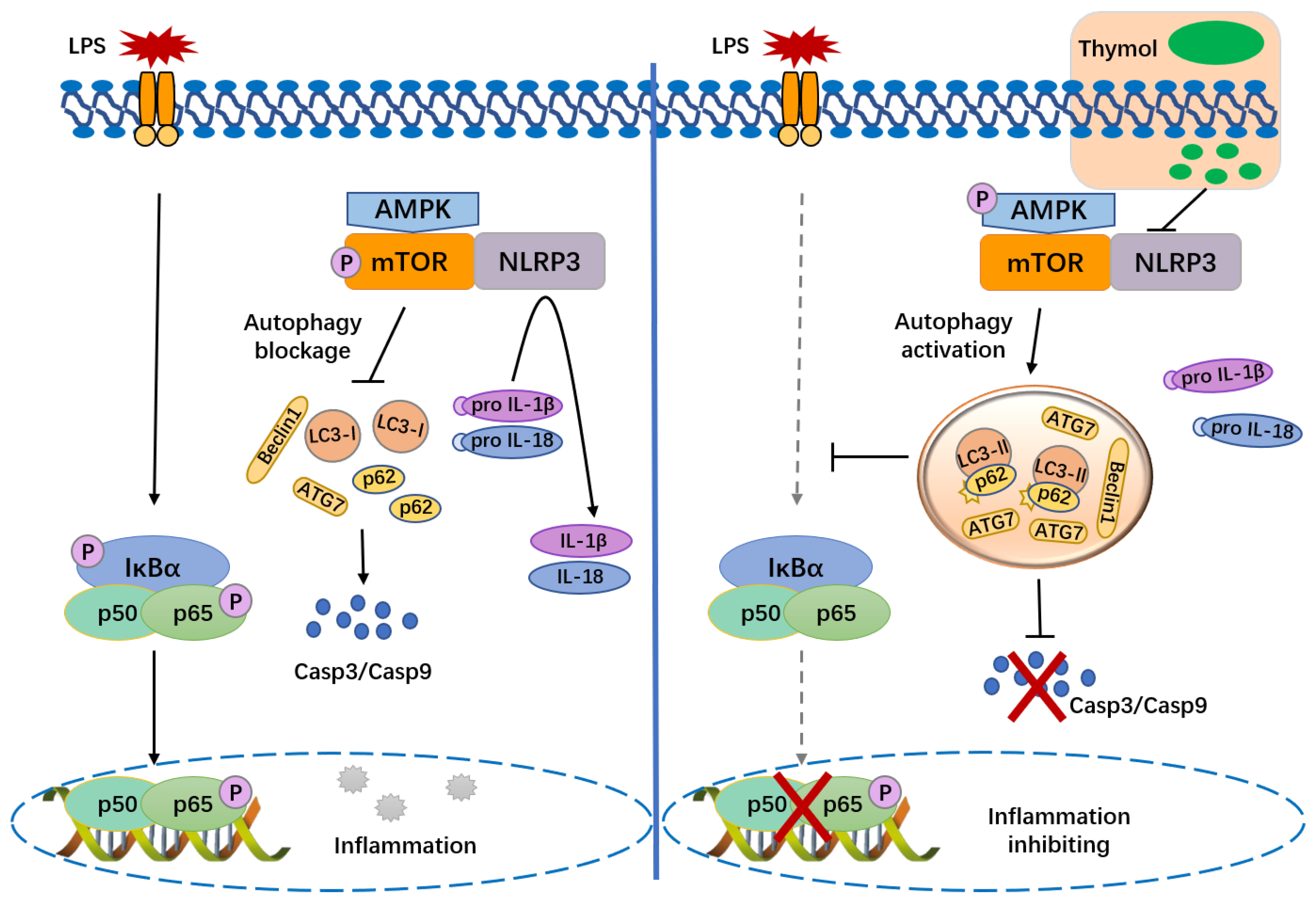 Nutrients 14 02809 g006