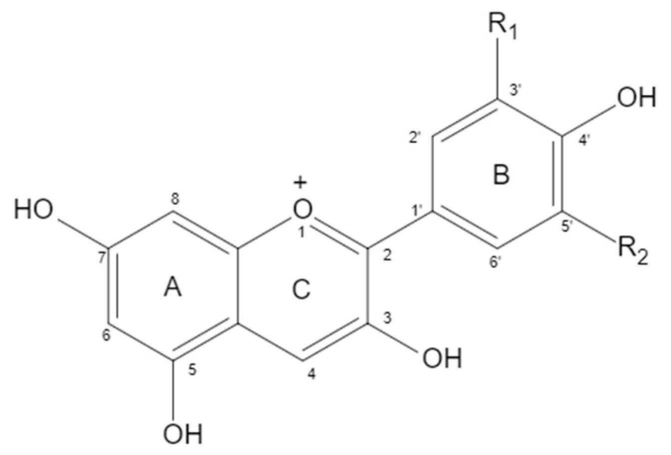 Nutrients 14 02836 g001
