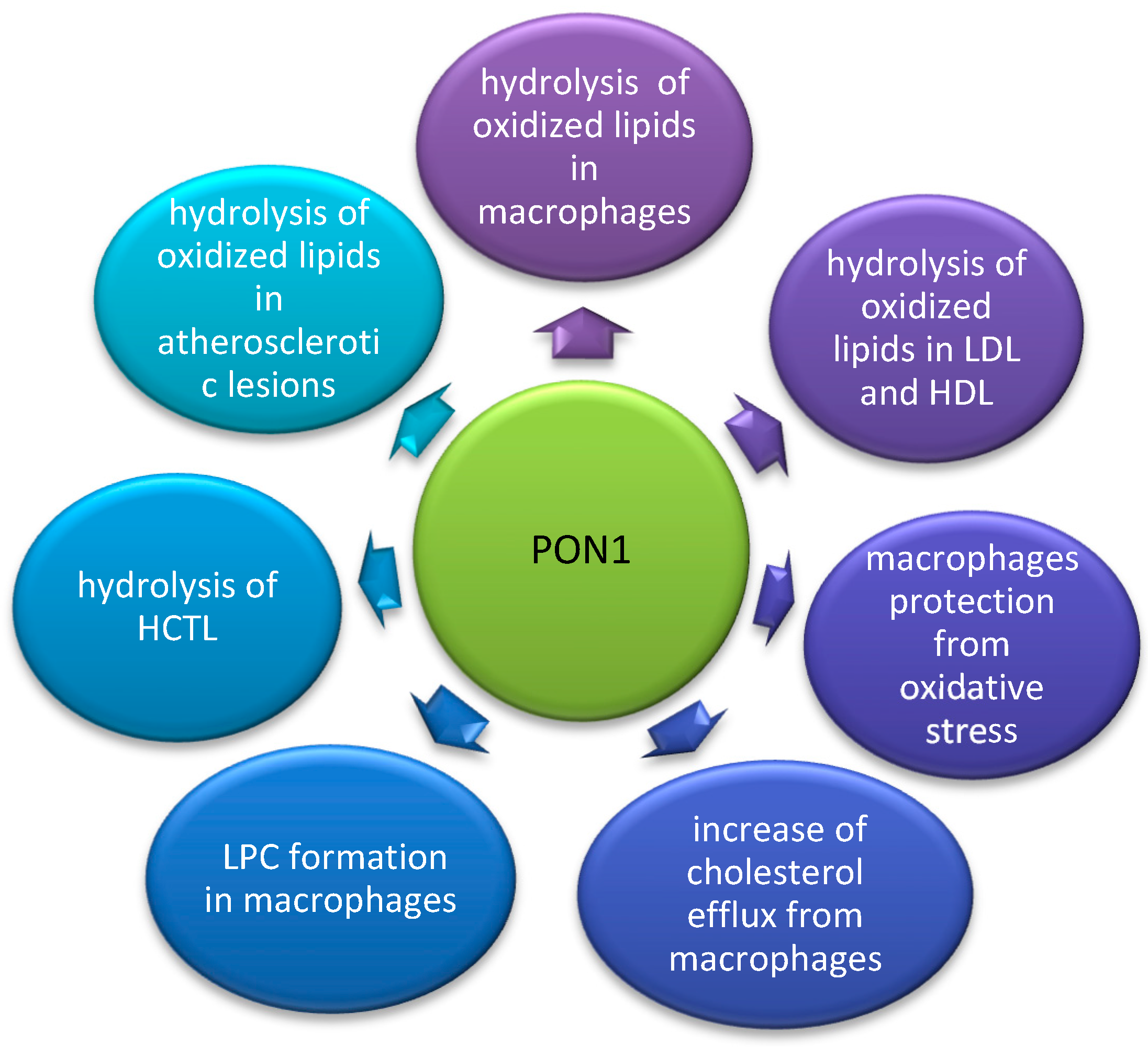 Nutrients 14 02842 g001