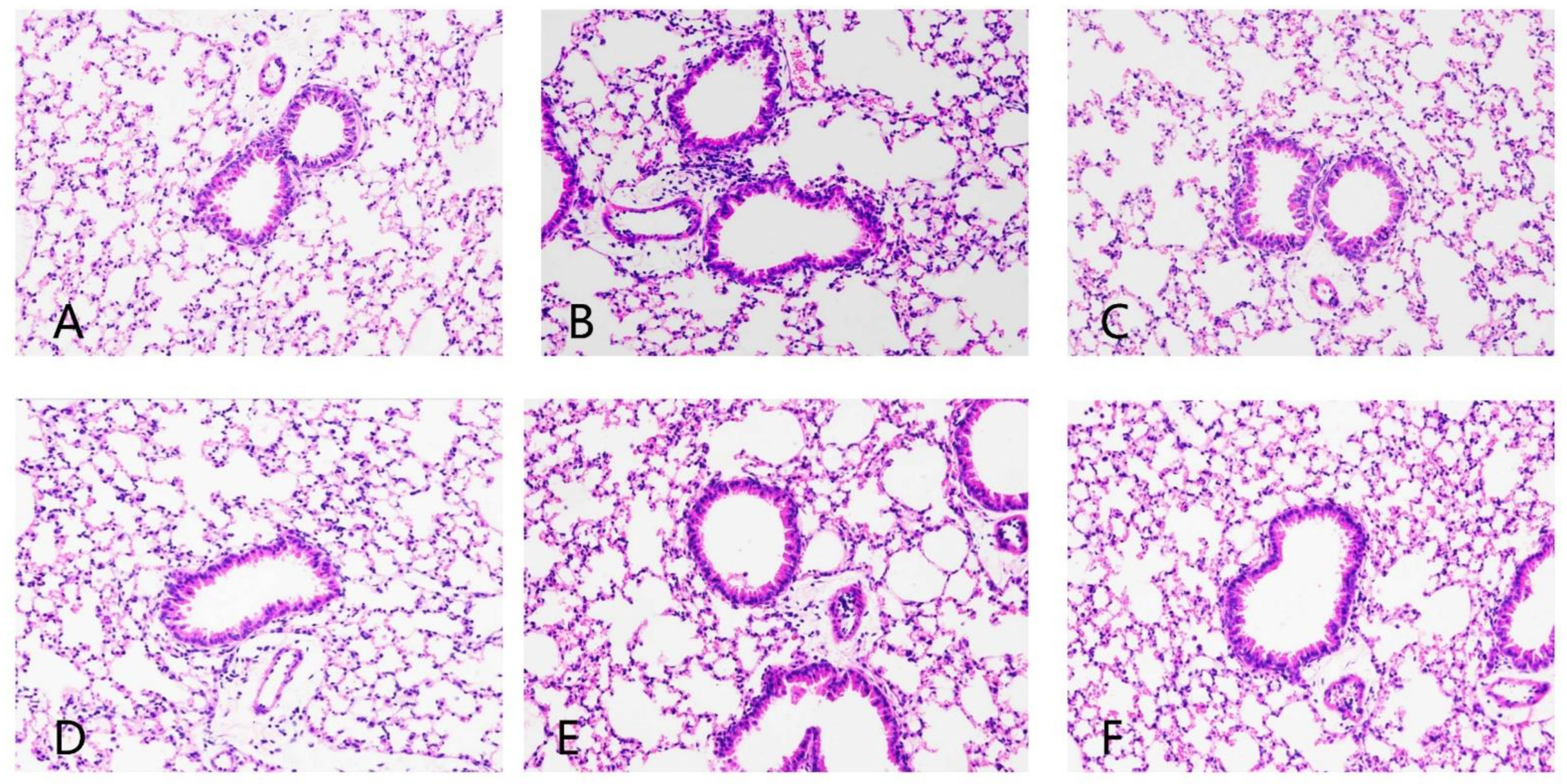 Nutrients 14 02843 g005