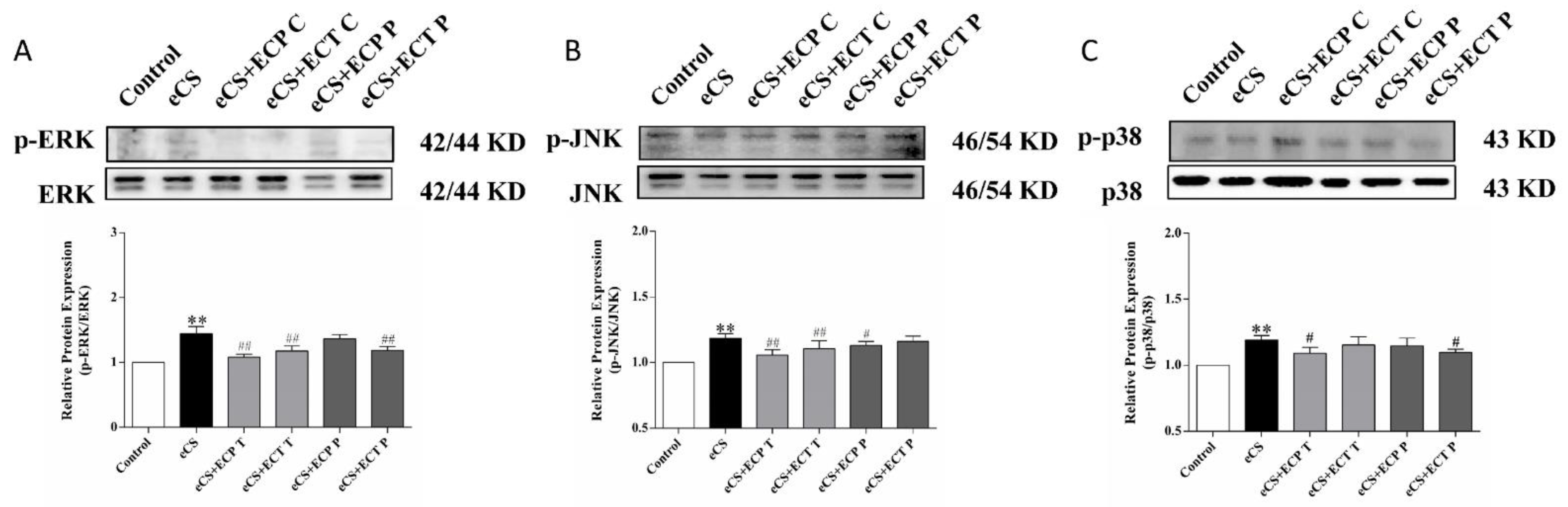 Nutrients 14 02843 g007