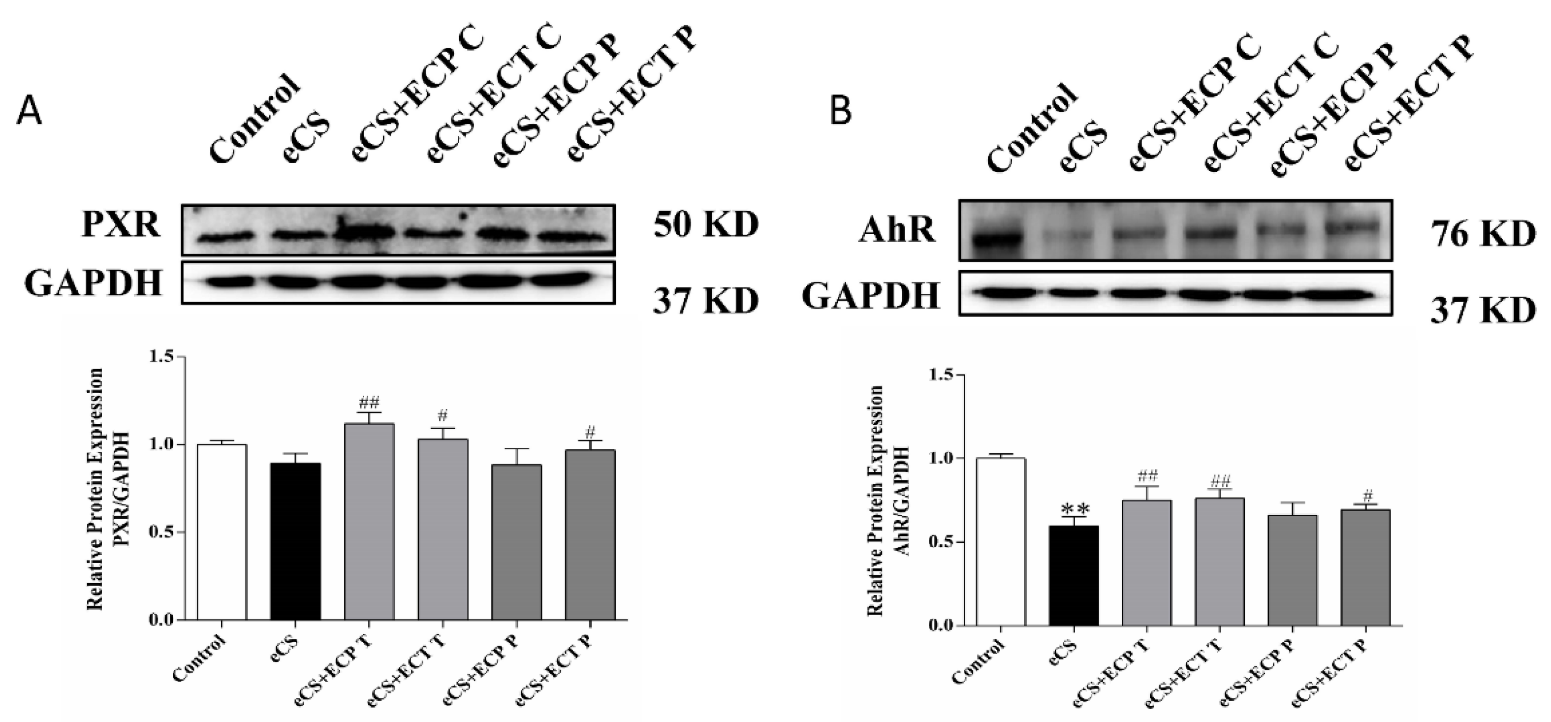 Nutrients 14 02843 g008