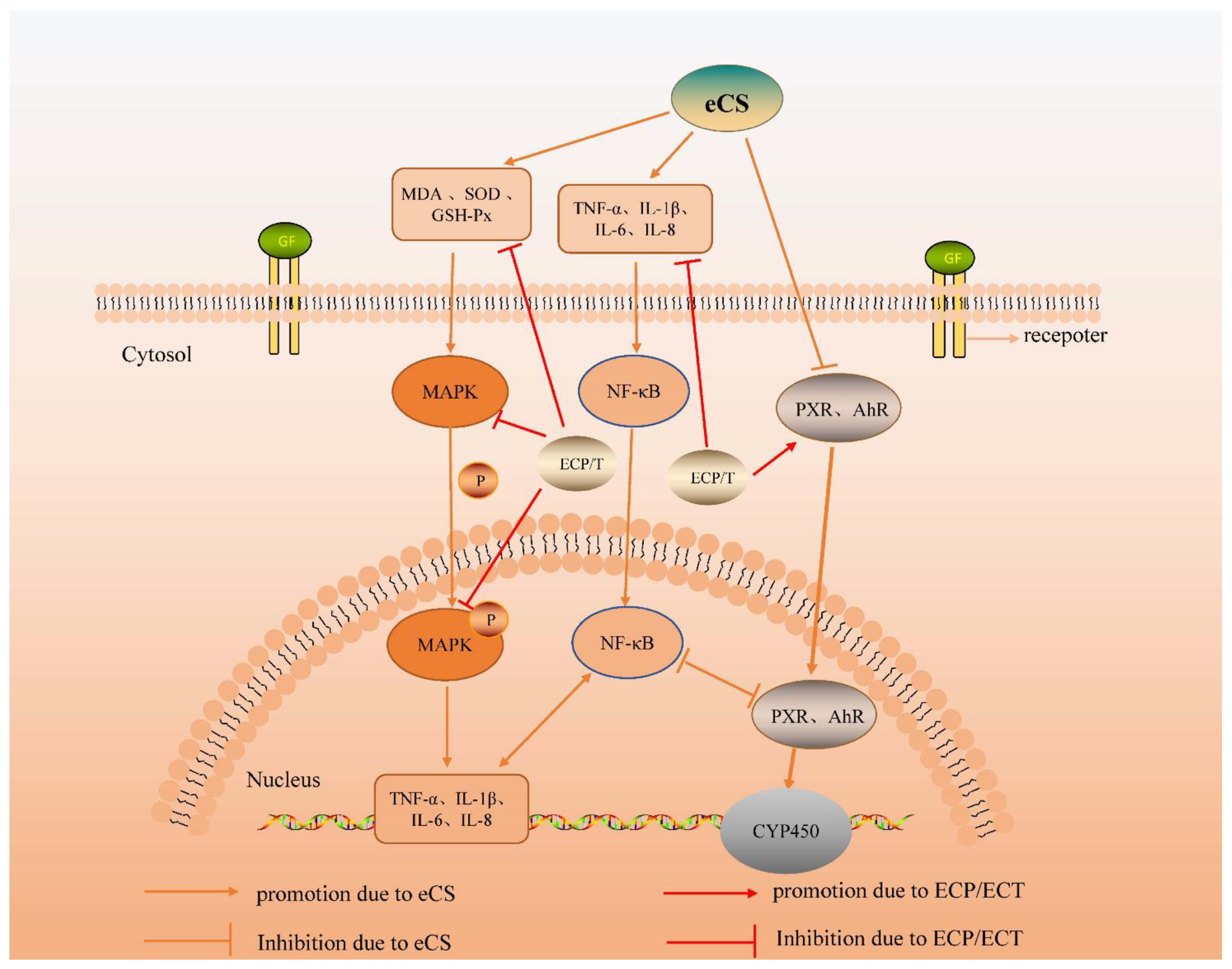 Nutrients 14 02843 g009