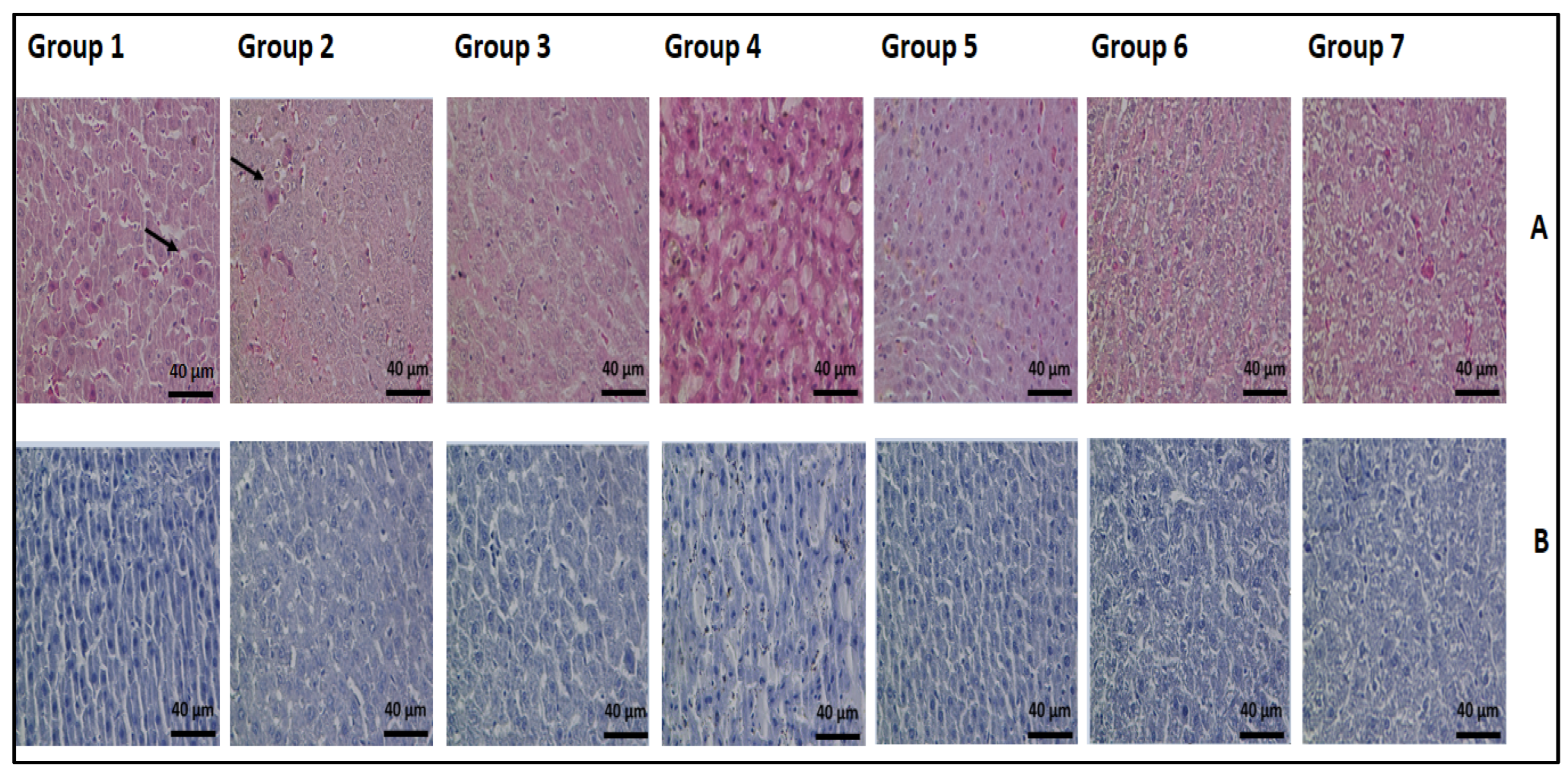 Nutrients 14 02848 g002 550
