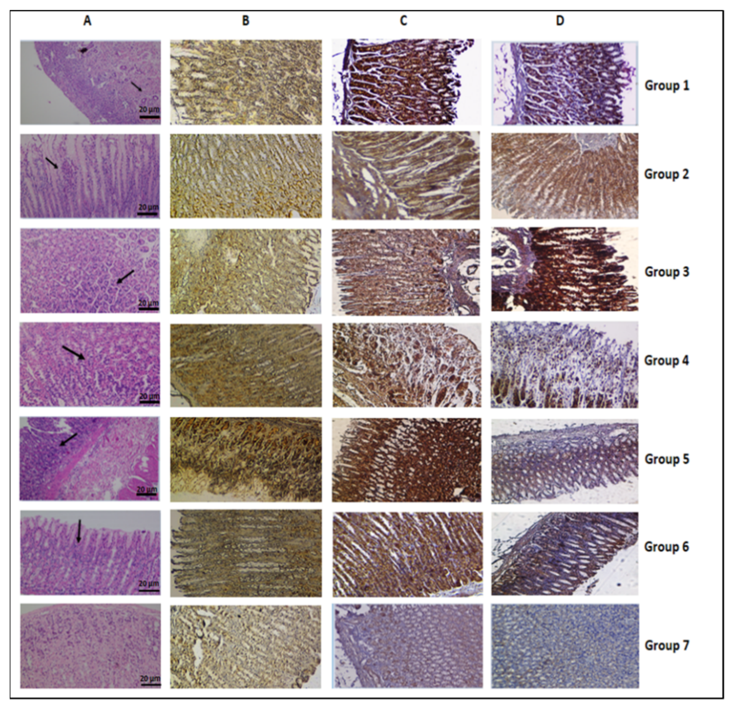Nutrients 14 02848 g003 550