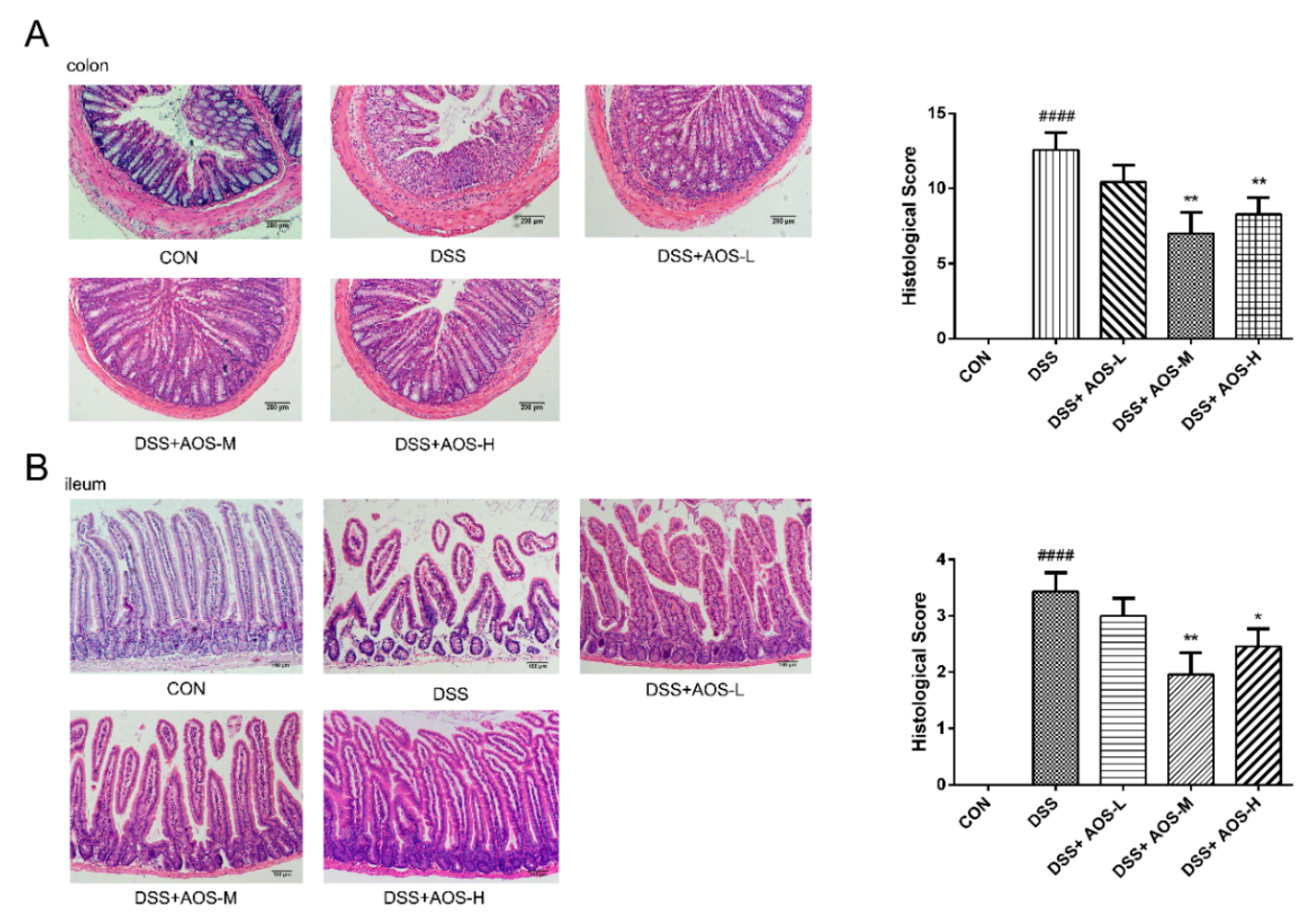 Nutrients 14 02864 g003