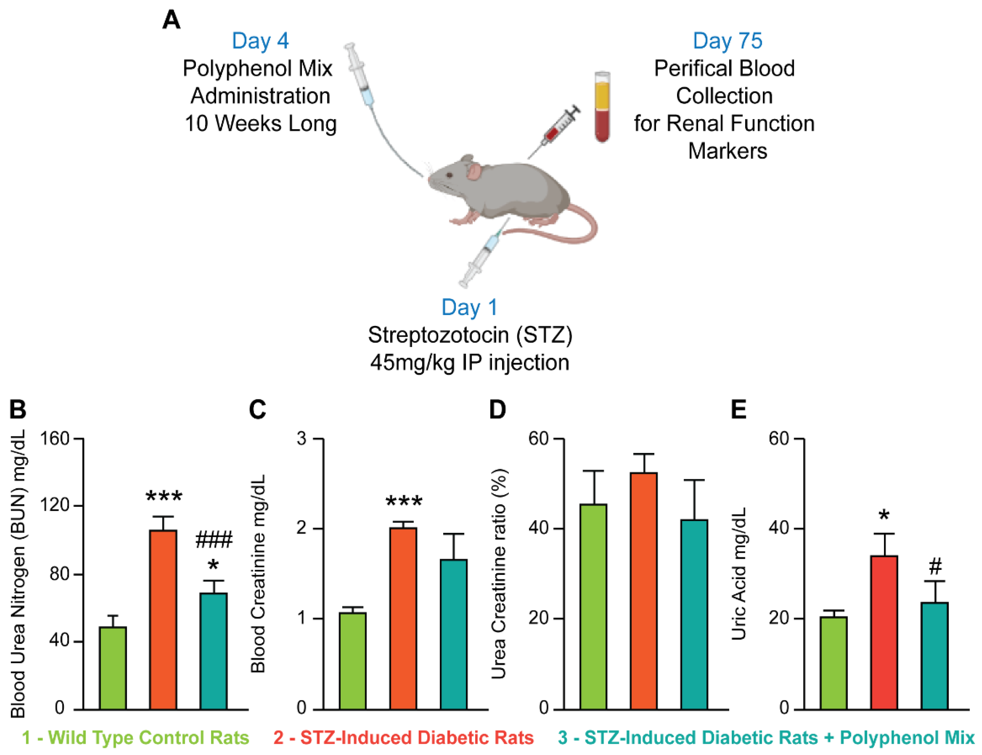 Nutrients 14 02867 g001 550