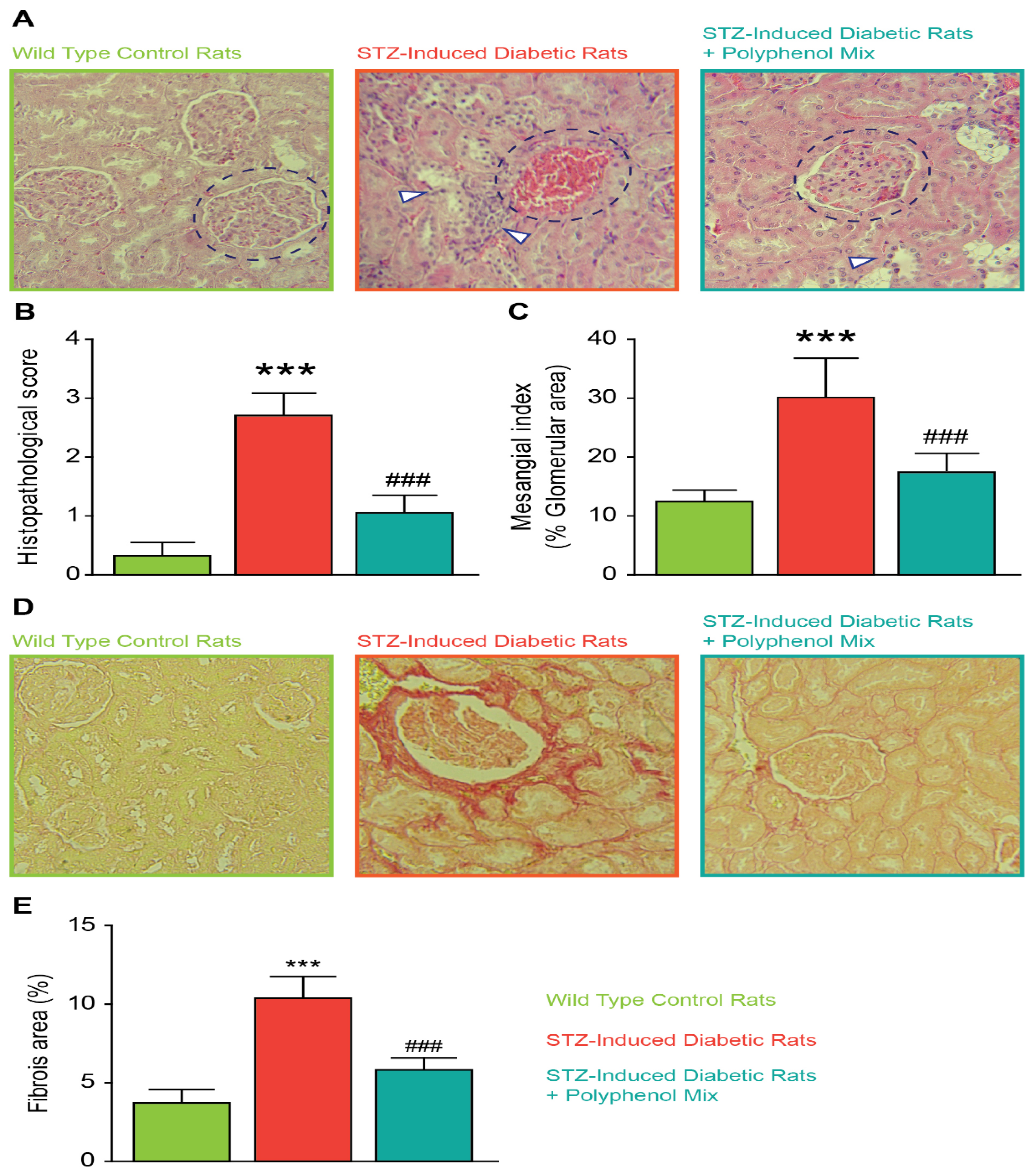Nutrients 14 02867 g004 550