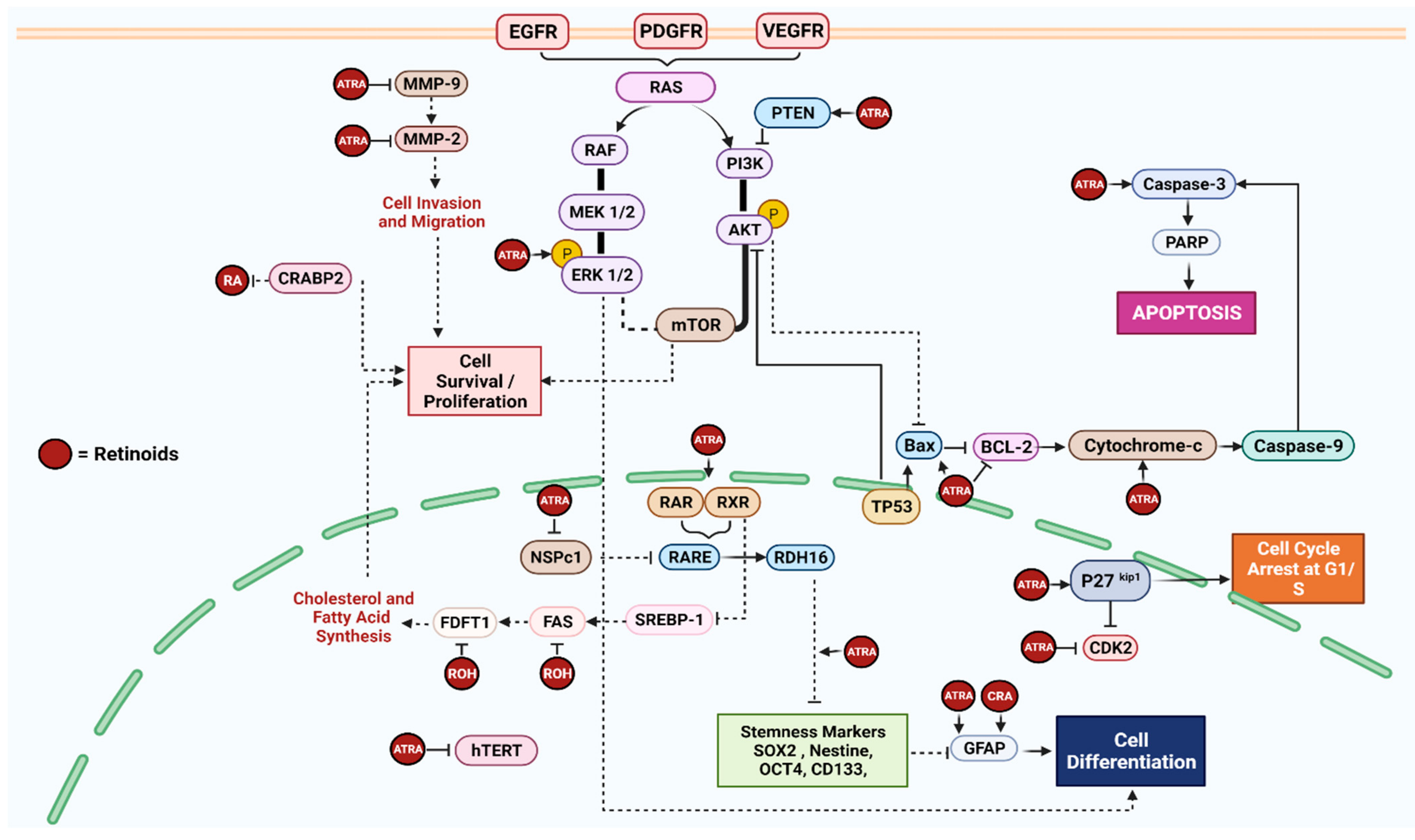 Nutrients 14 02873 g002