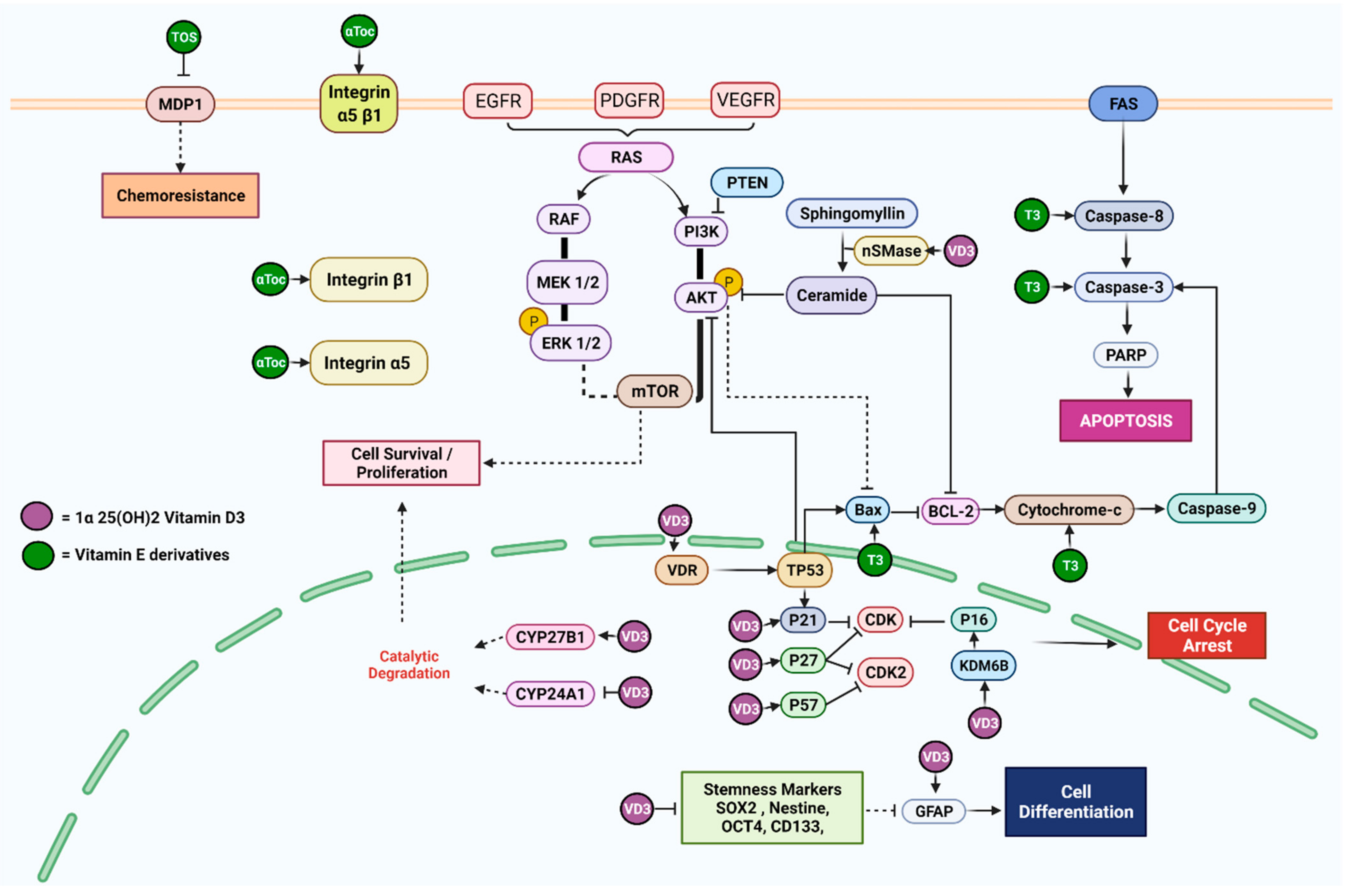 Nutrients 14 02873 g003