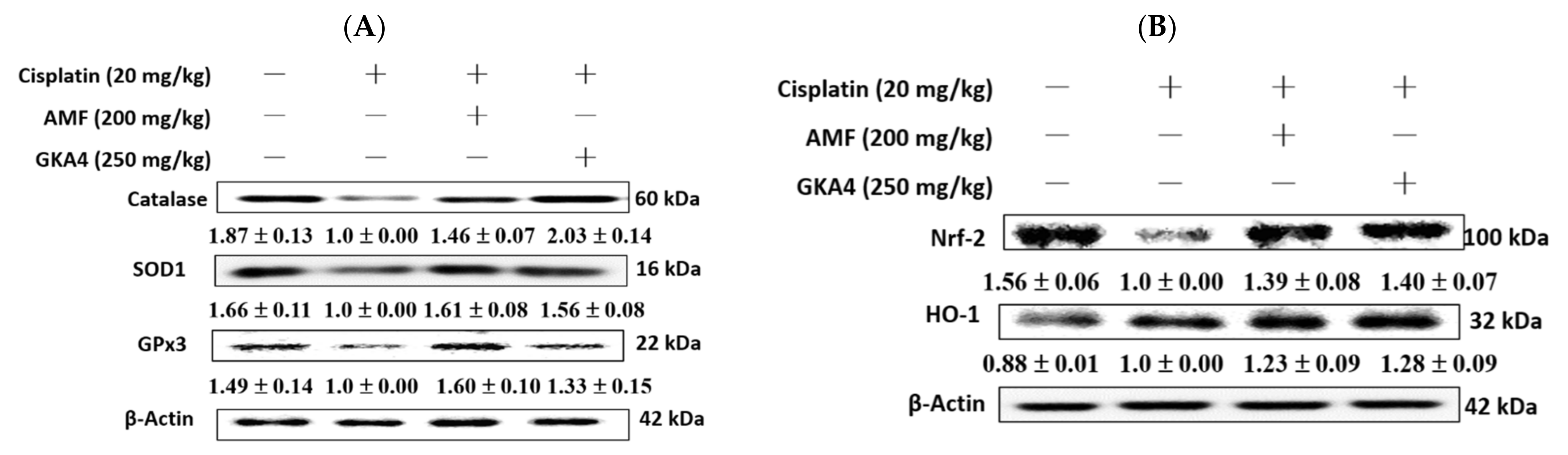 Nutrients 14 02877 g005