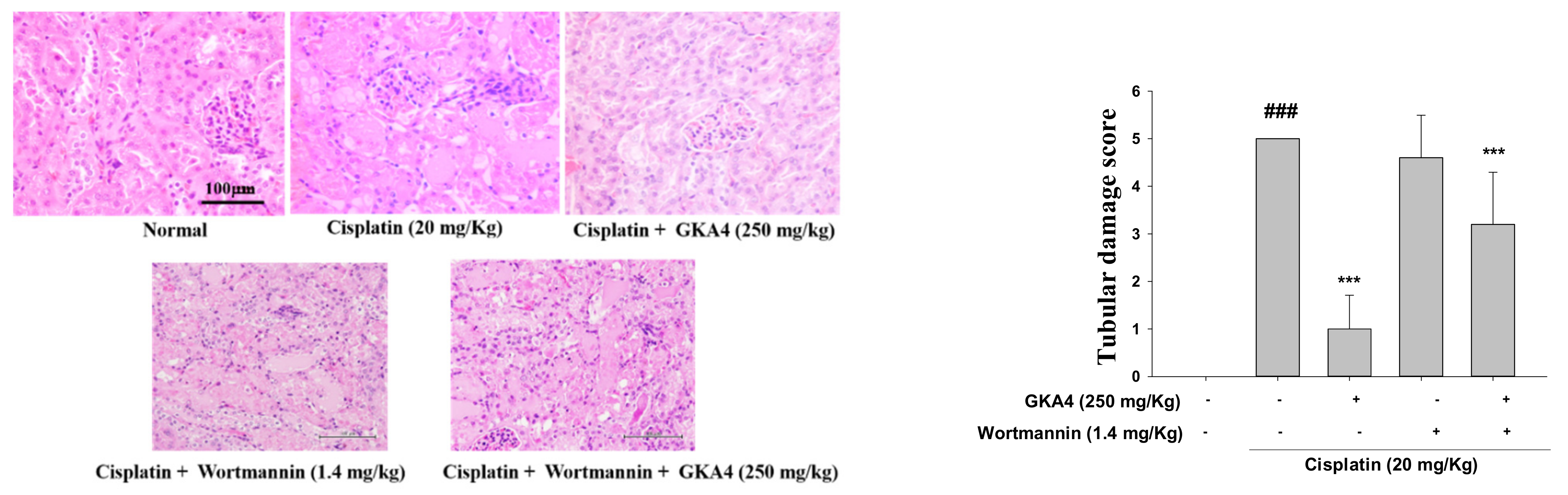Nutrients 14 02877 g008b