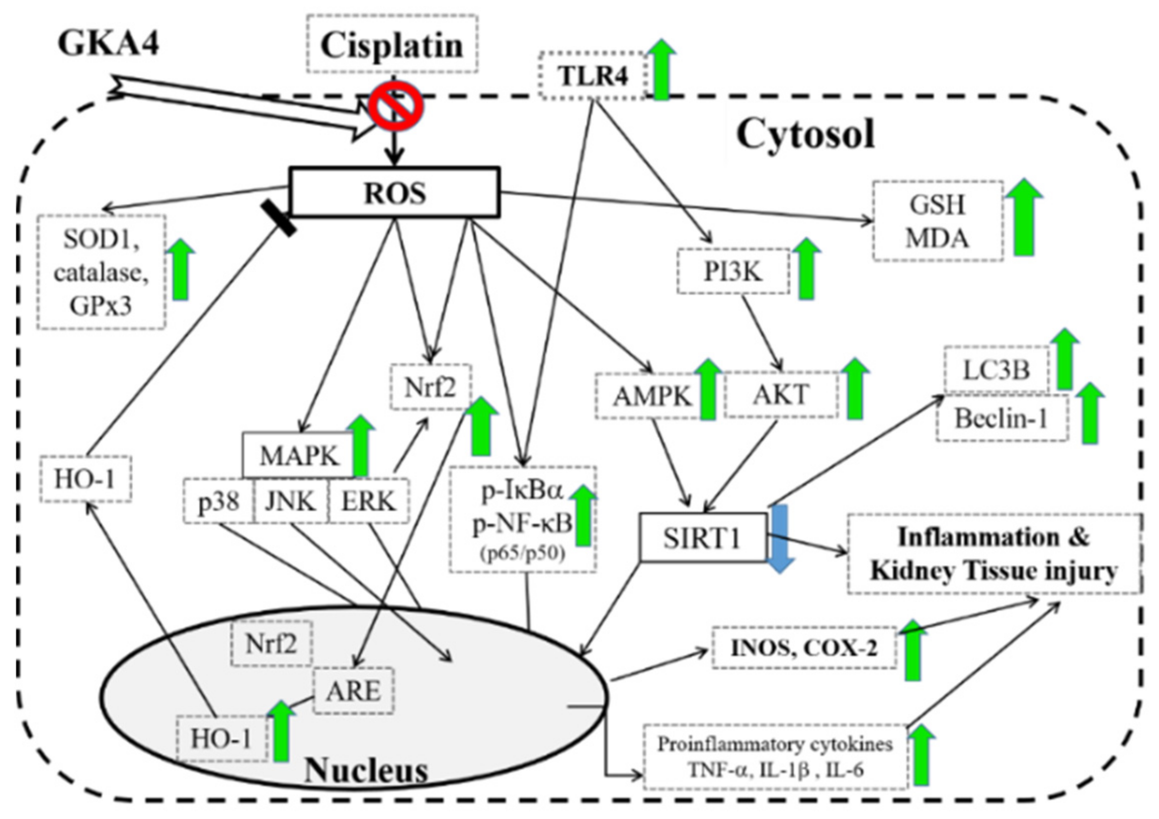 Nutrients 14 02877 g011