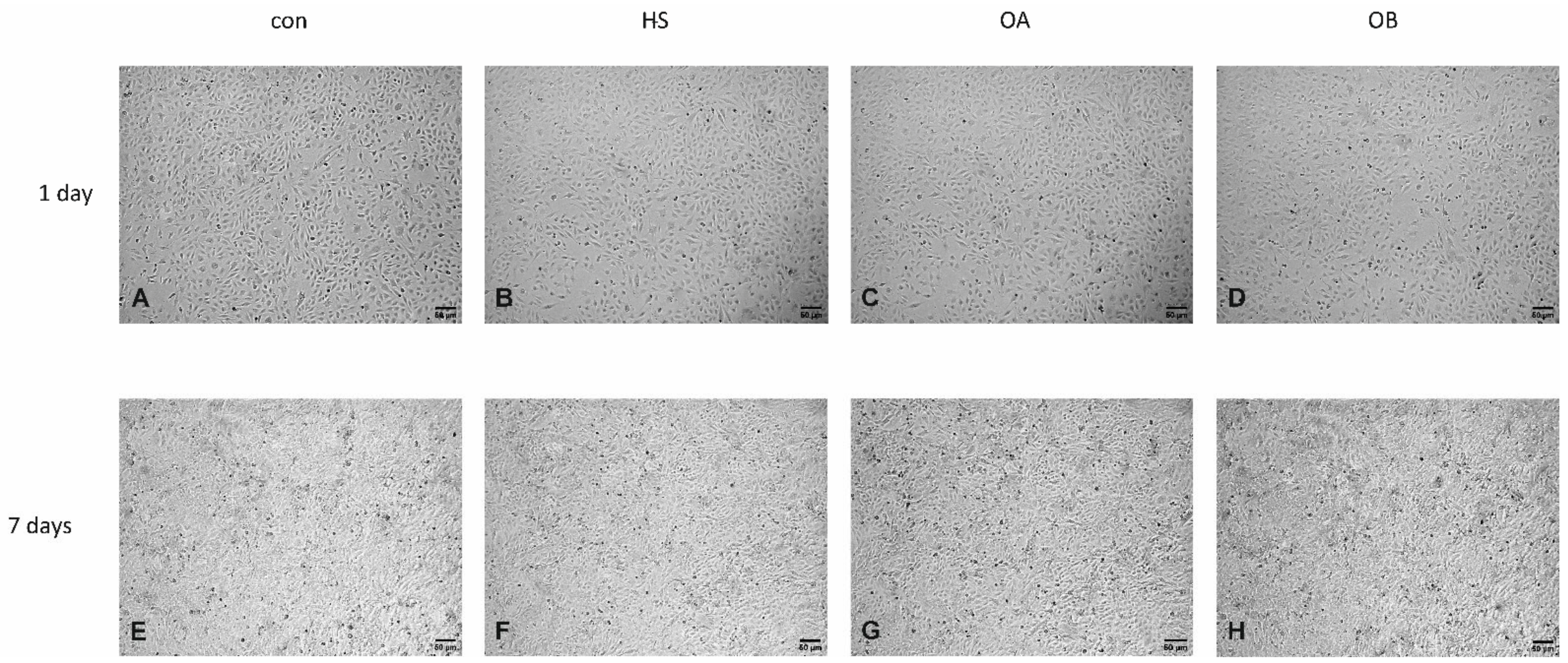 Nutrients 14 02879 g004