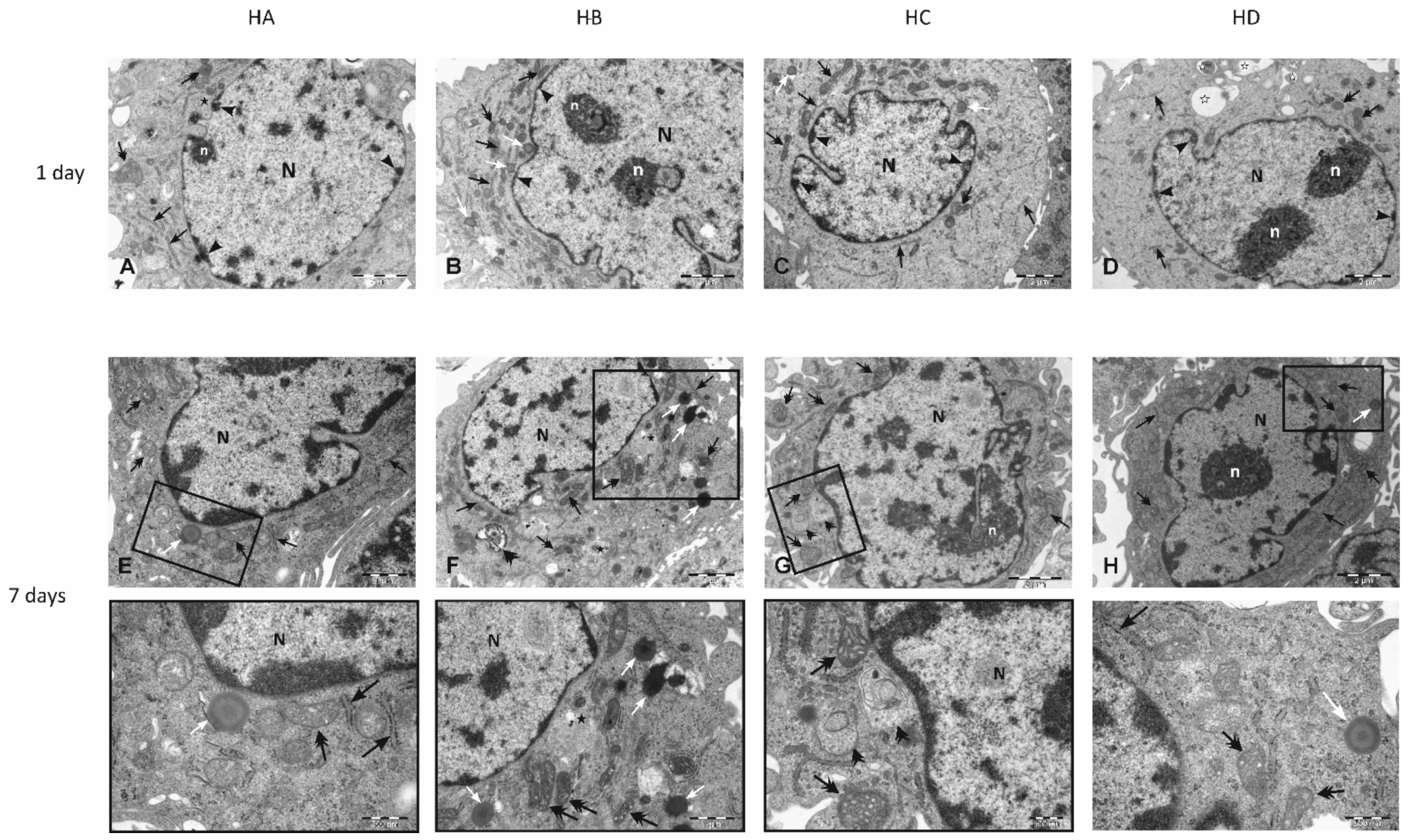 Nutrients 14 02879 g005