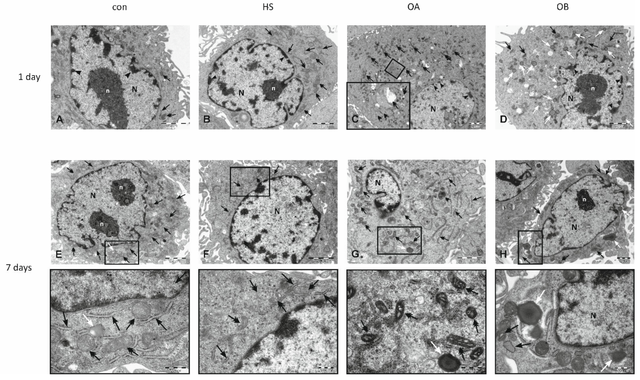 Nutrients 14 02879 g006