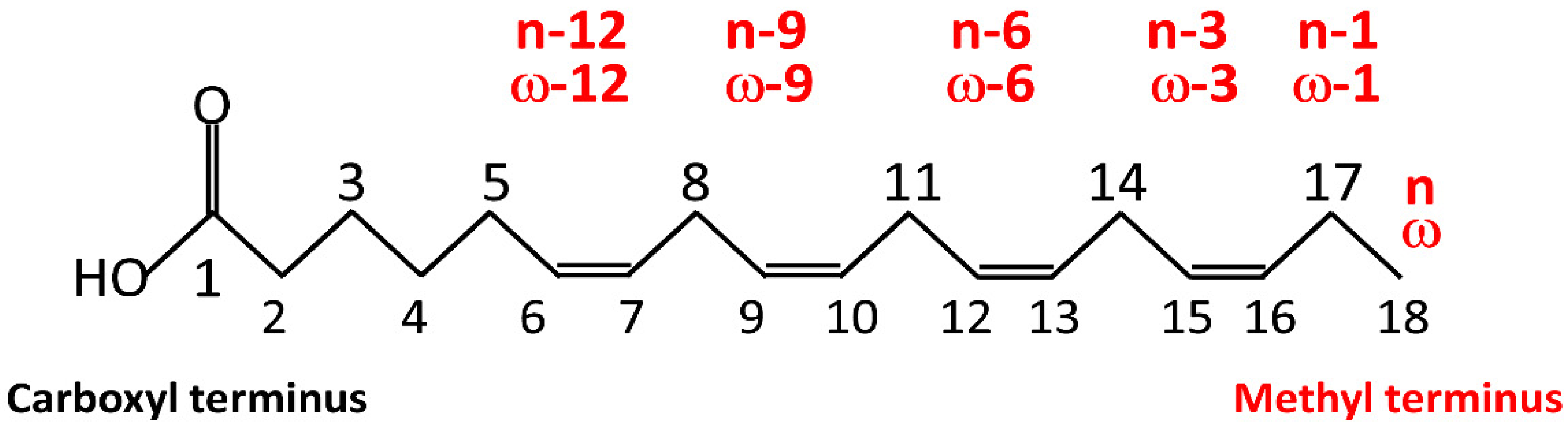Nutrients 14 02880 g002