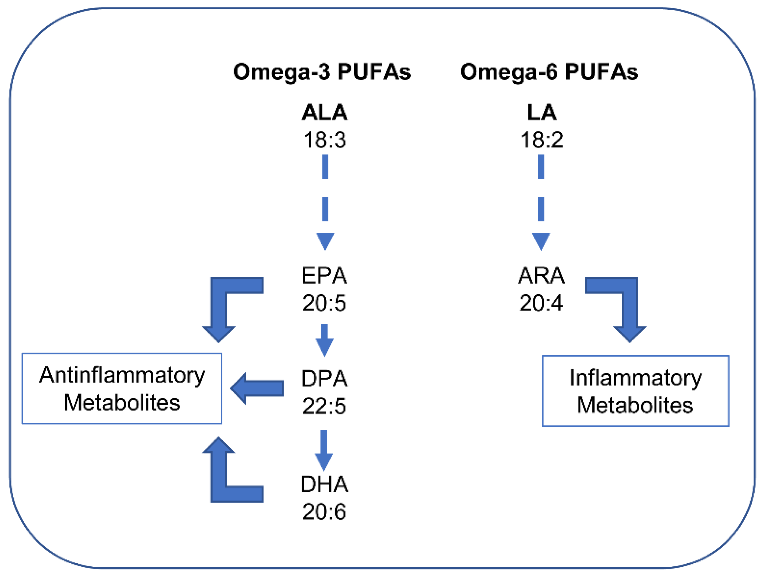 Nutrients 14 02880 g003