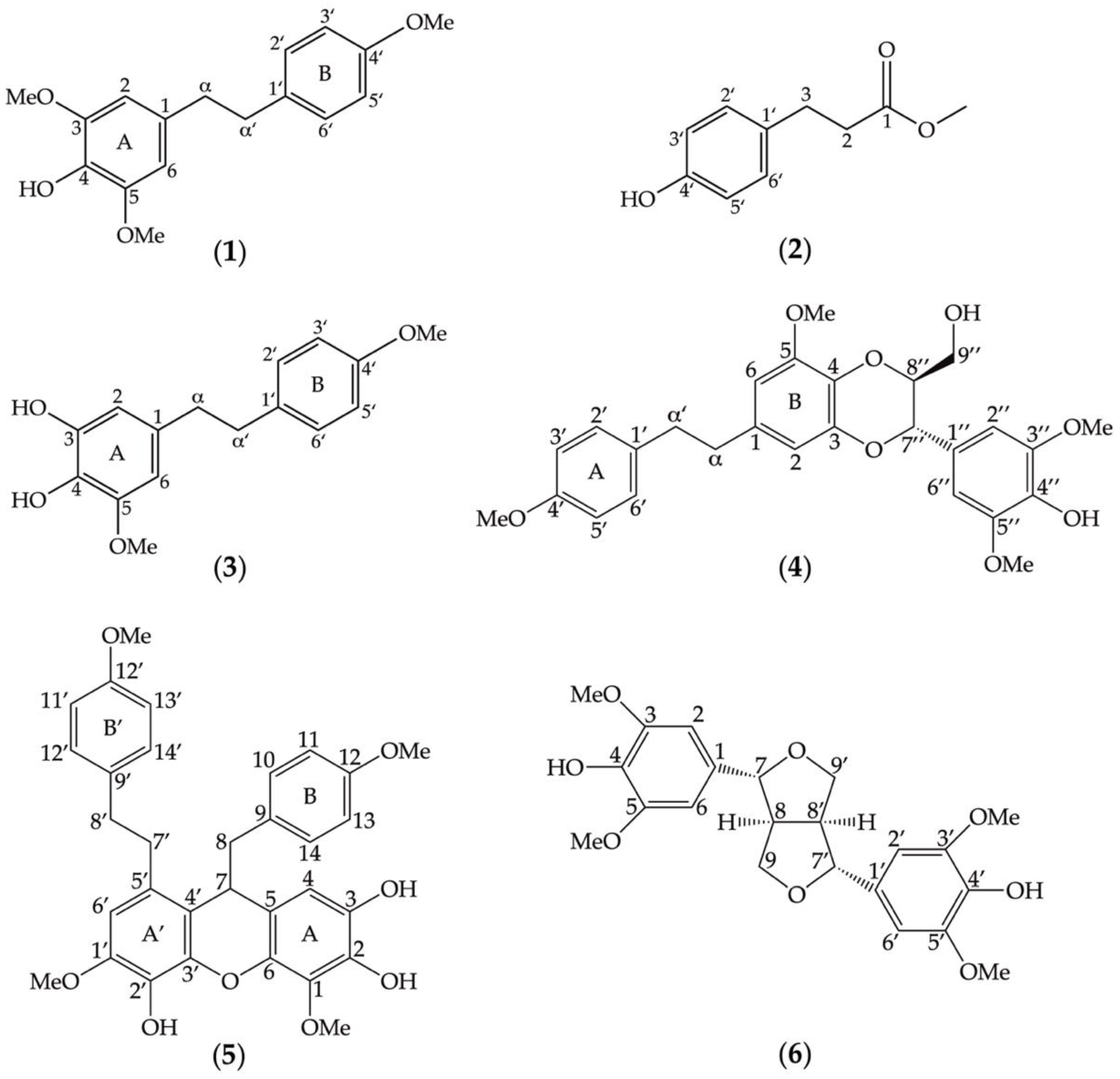 Nutrients 14 02886 g001