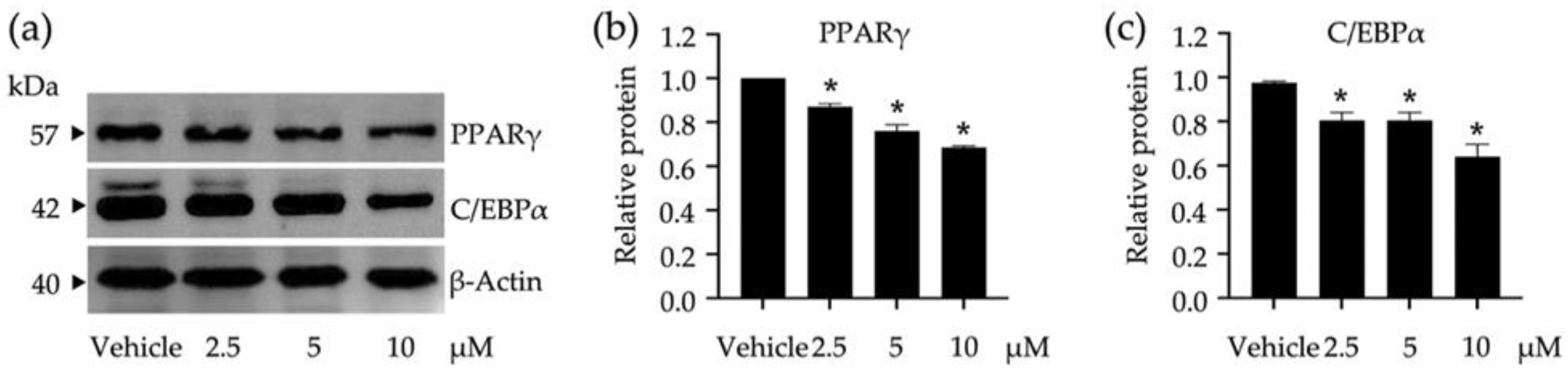 Nutrients 14 02886 g004