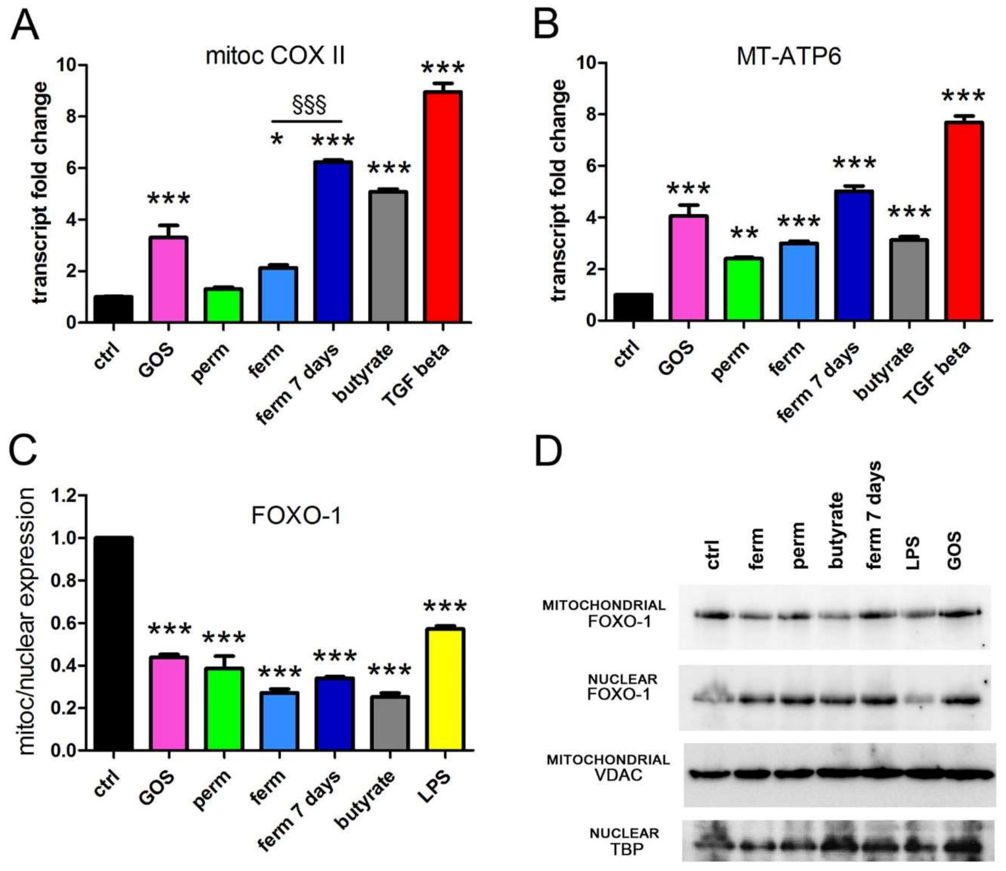 Nutrients 14 02888 g003 Nutrients 14 02888 g003