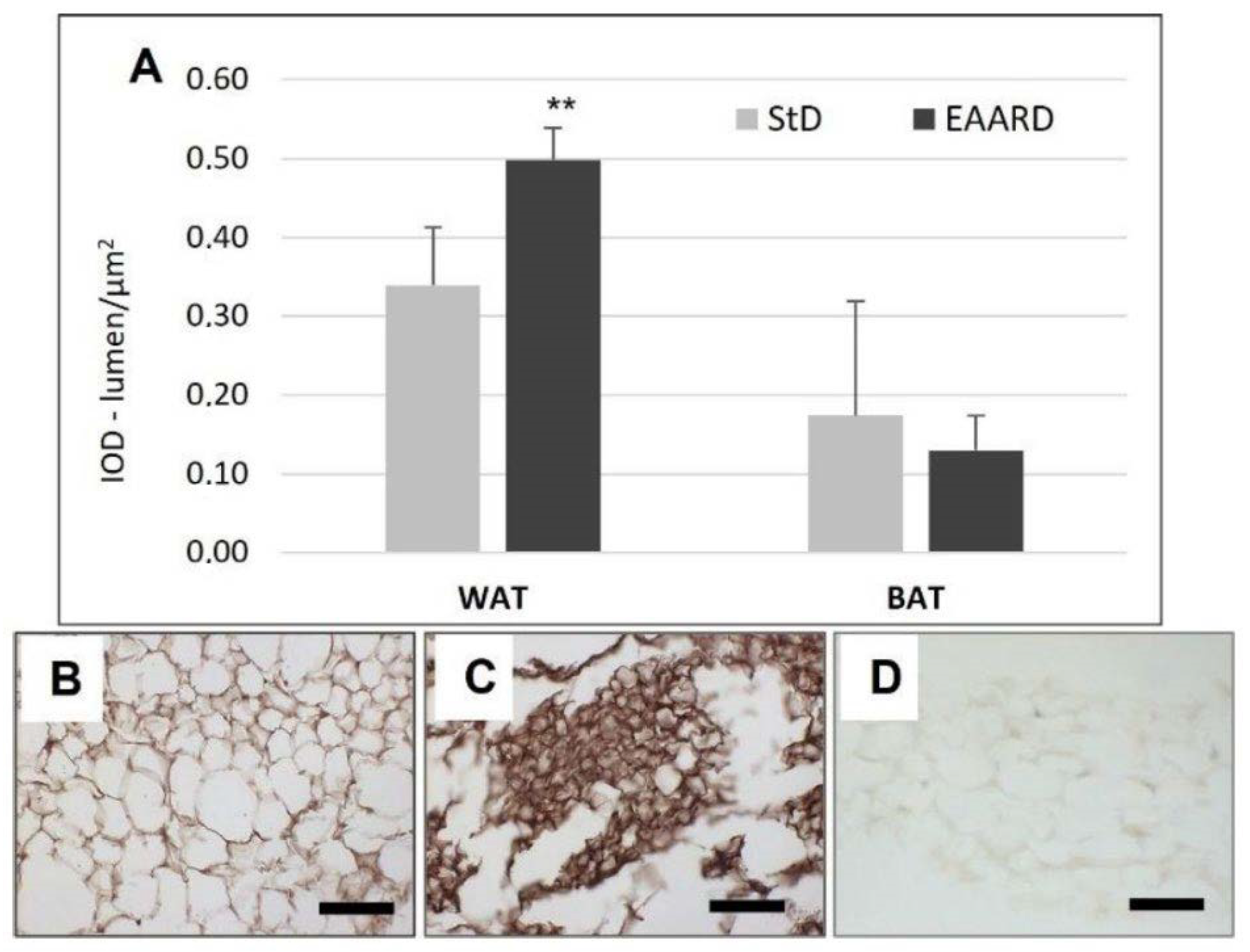 Nutrients 14 02915 g004 Nutrients 14 02915 g004