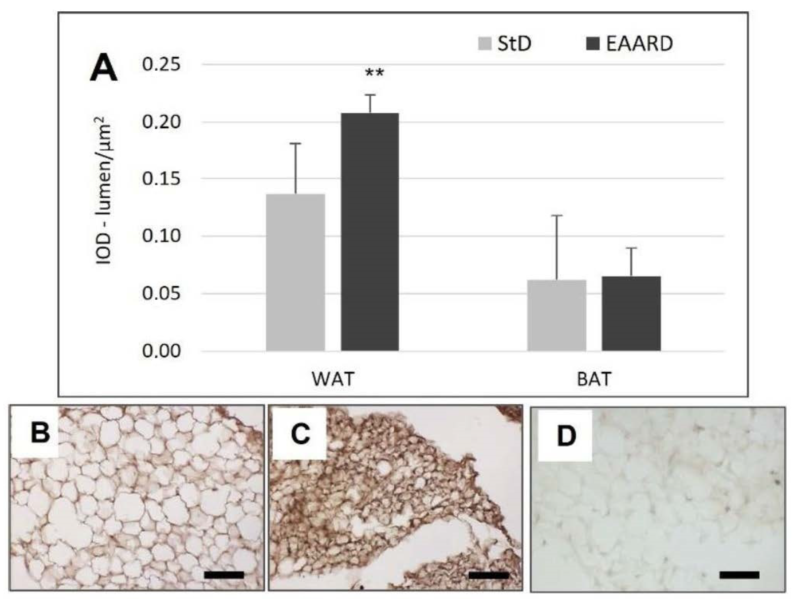 Nutrients 14 02915 g005 Nutrients 14 02915 g005