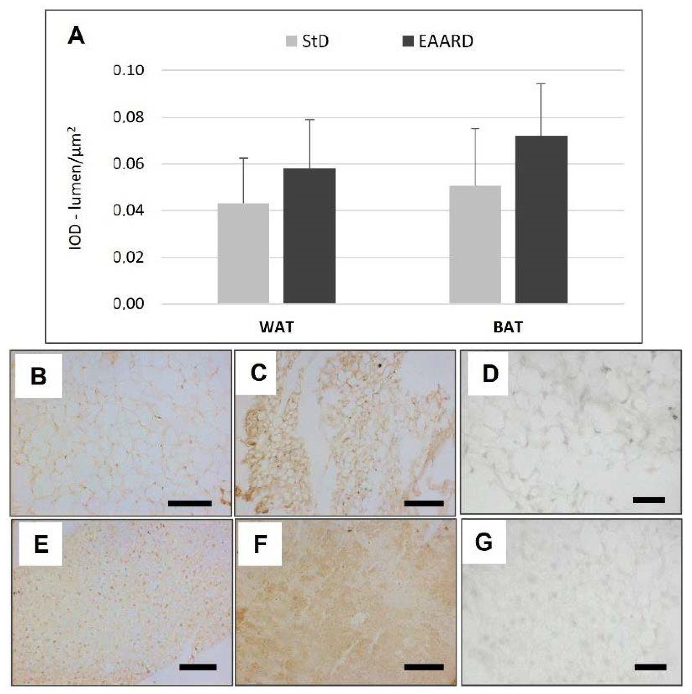Nutrients 14 02915 g006 Nutrients 14 02915 g006