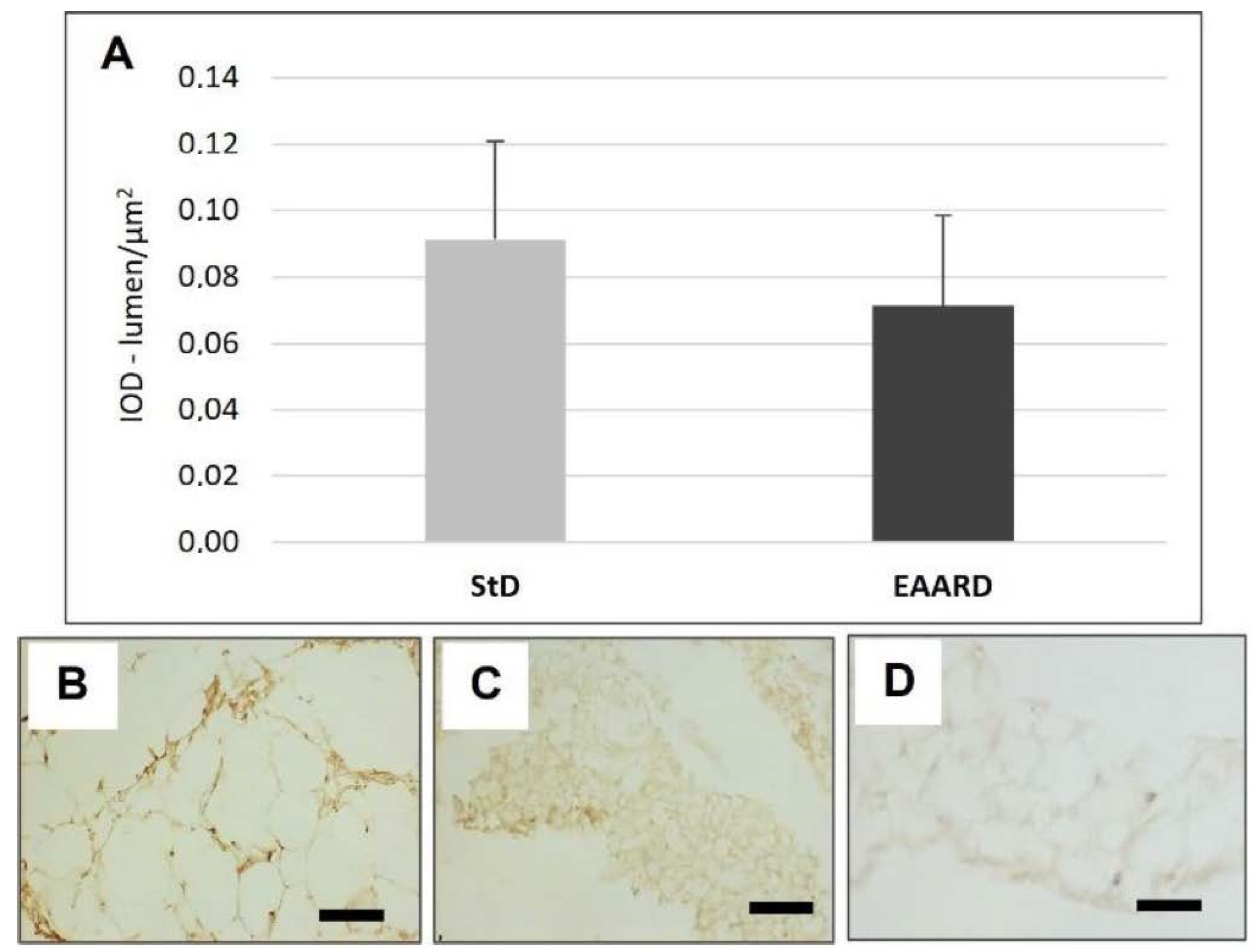 Nutrients 14 02915 g008 Nutrients 14 02915 g008