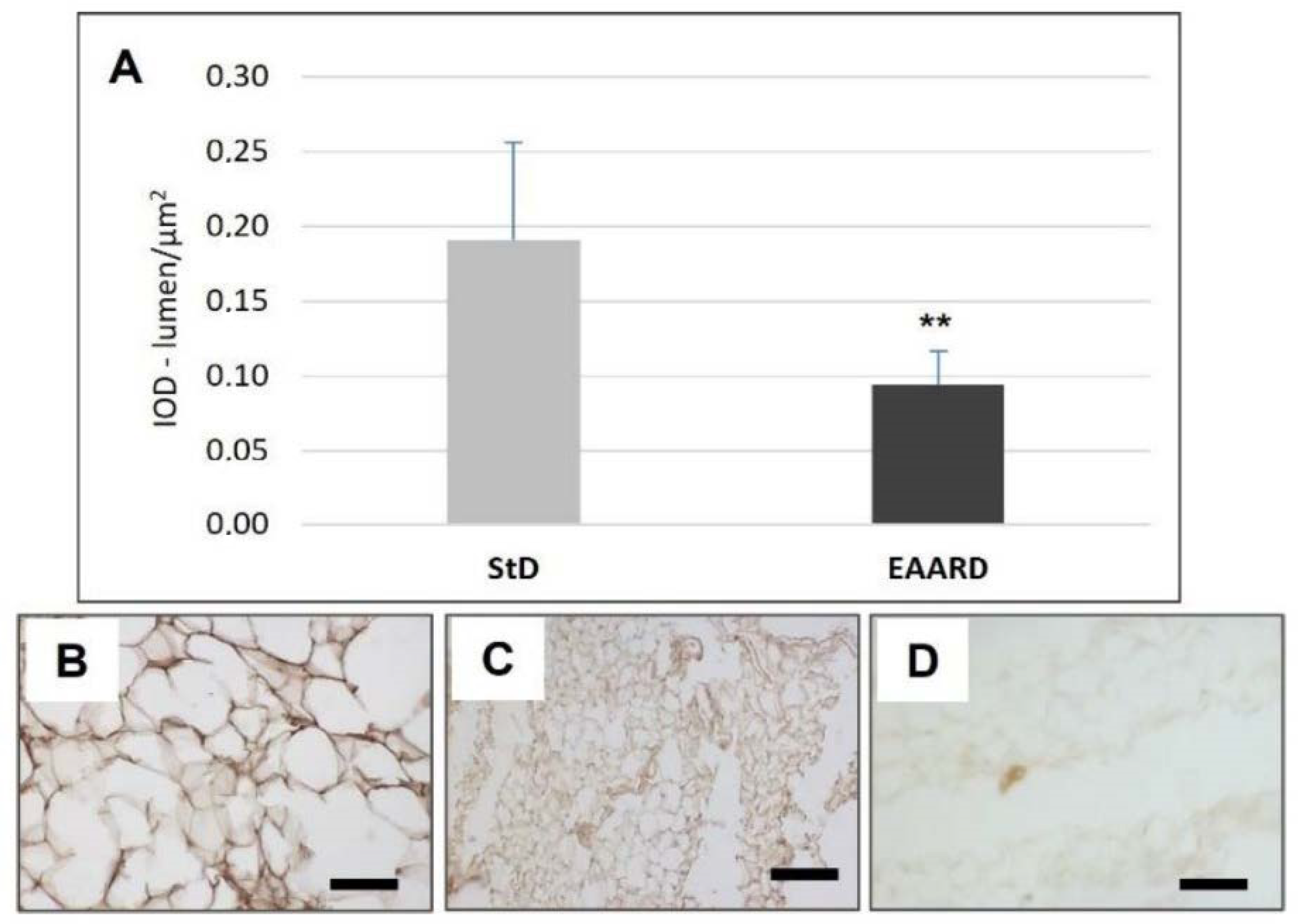 Nutrients 14 02915 g009 Nutrients 14 02915 g009