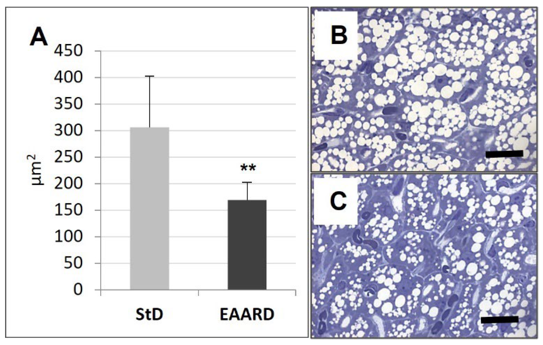 Nutrients 14 02915 g010 Nutrients 14 02915 g010