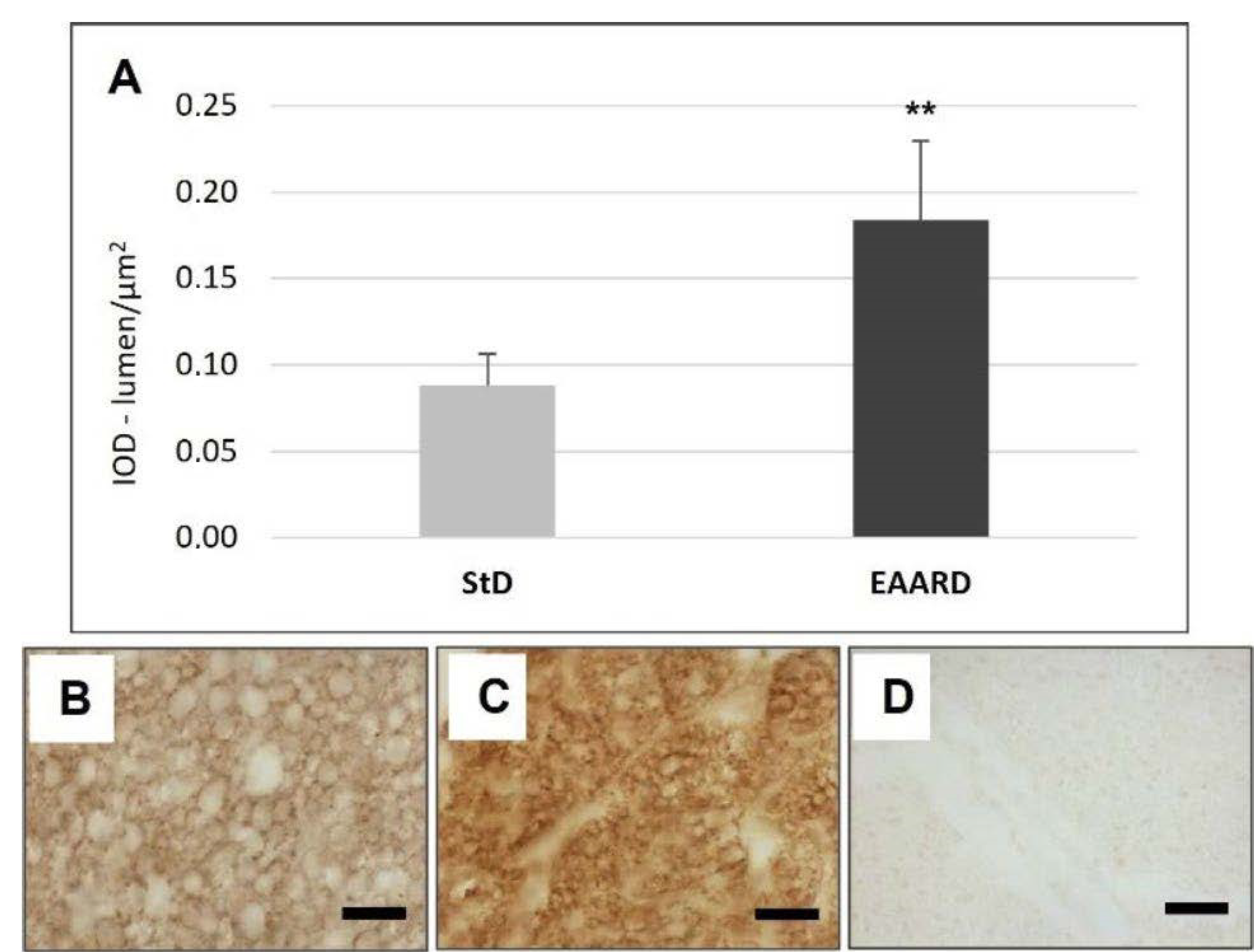 Nutrients 14 02915 g012 Nutrients 14 02915 g012