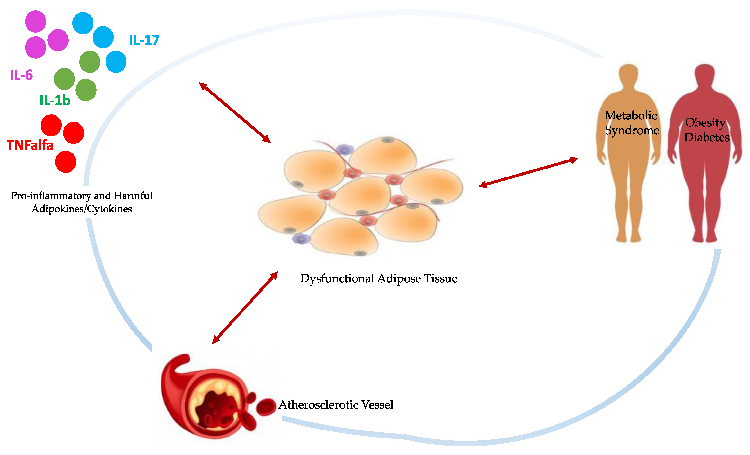 Nutrients 14 02926 g001 Nutrients 14 02926 g001
