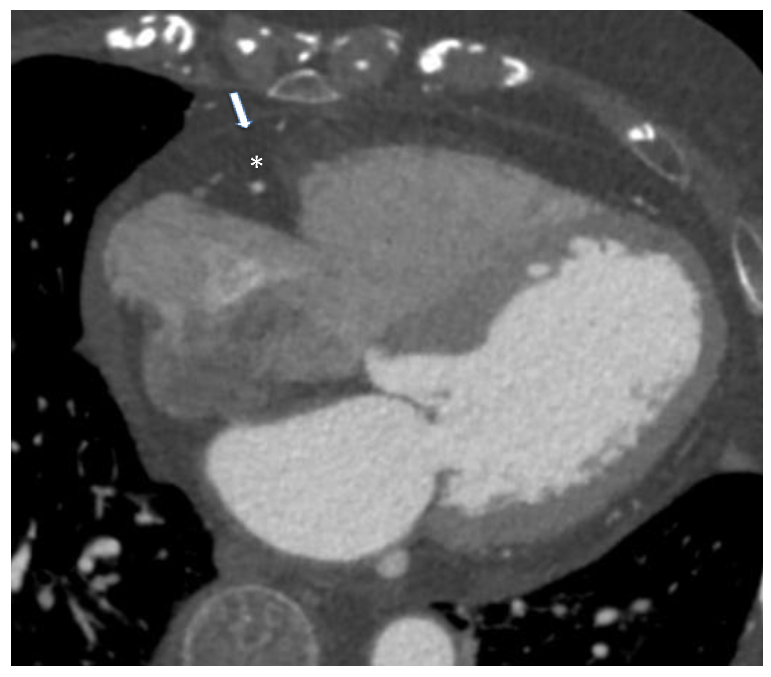 Nutrients 14 02926 g004 Nutrients 14 02926 g004