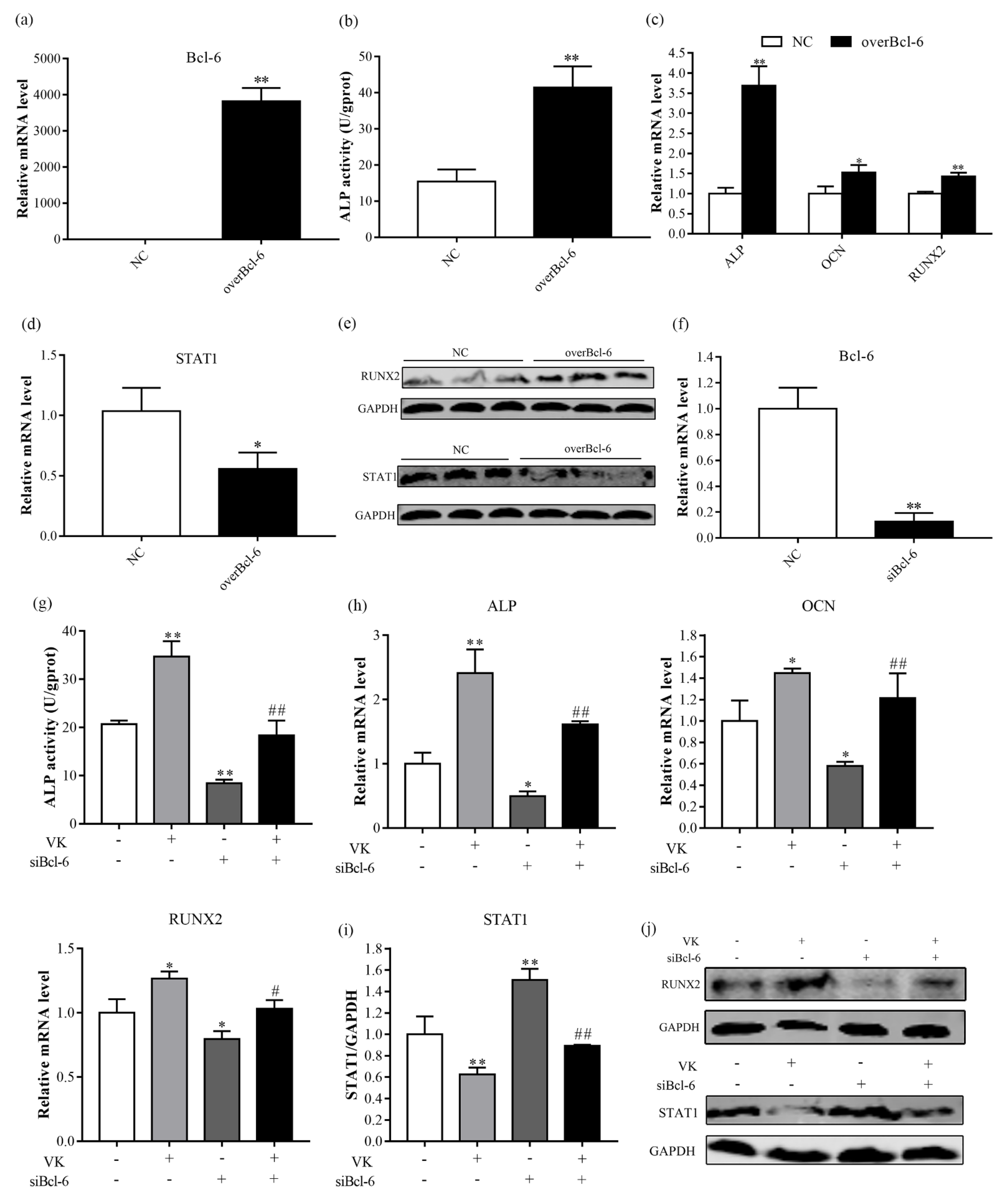 Nutrients 14 02934 g005 Nutrients 14 02934 g005
