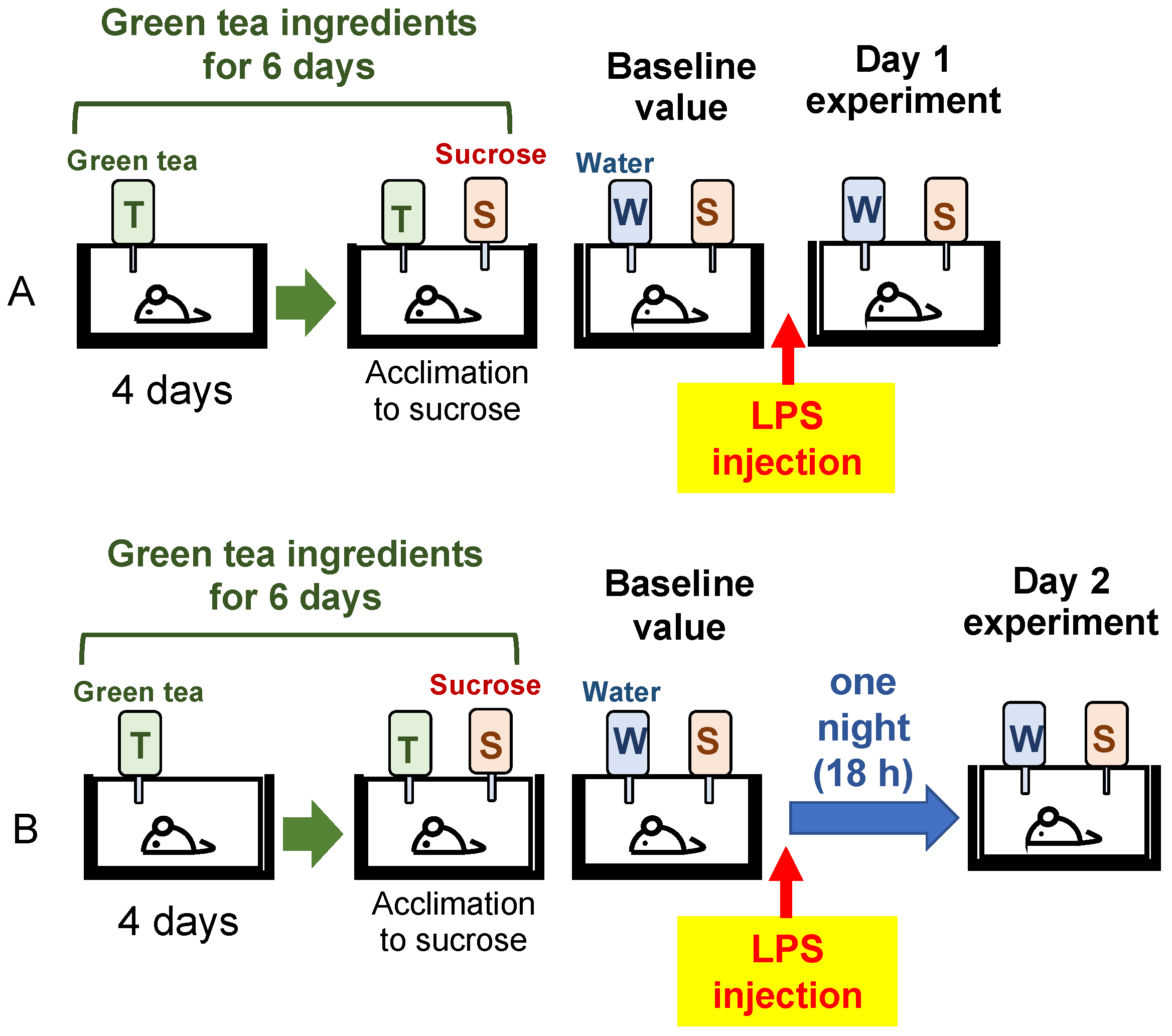 Nutrients 14 02949 g001