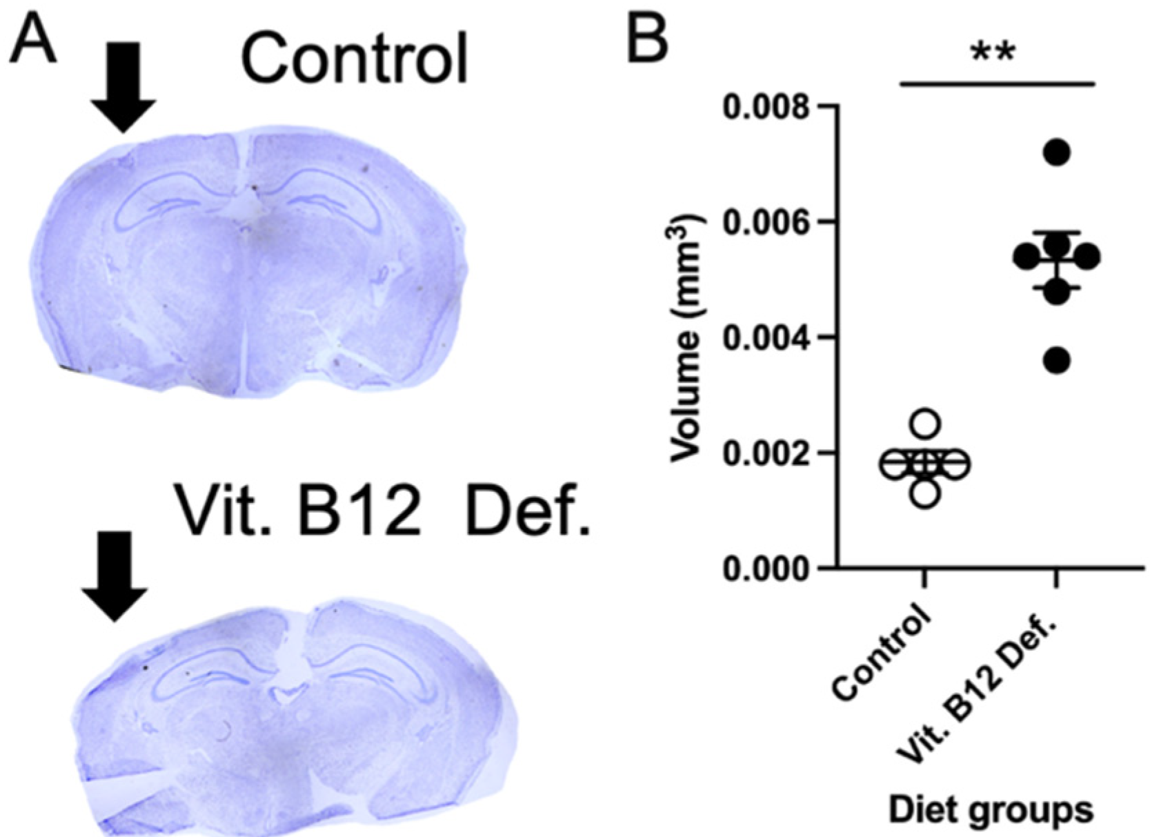 Nutrients 14 02960 g002