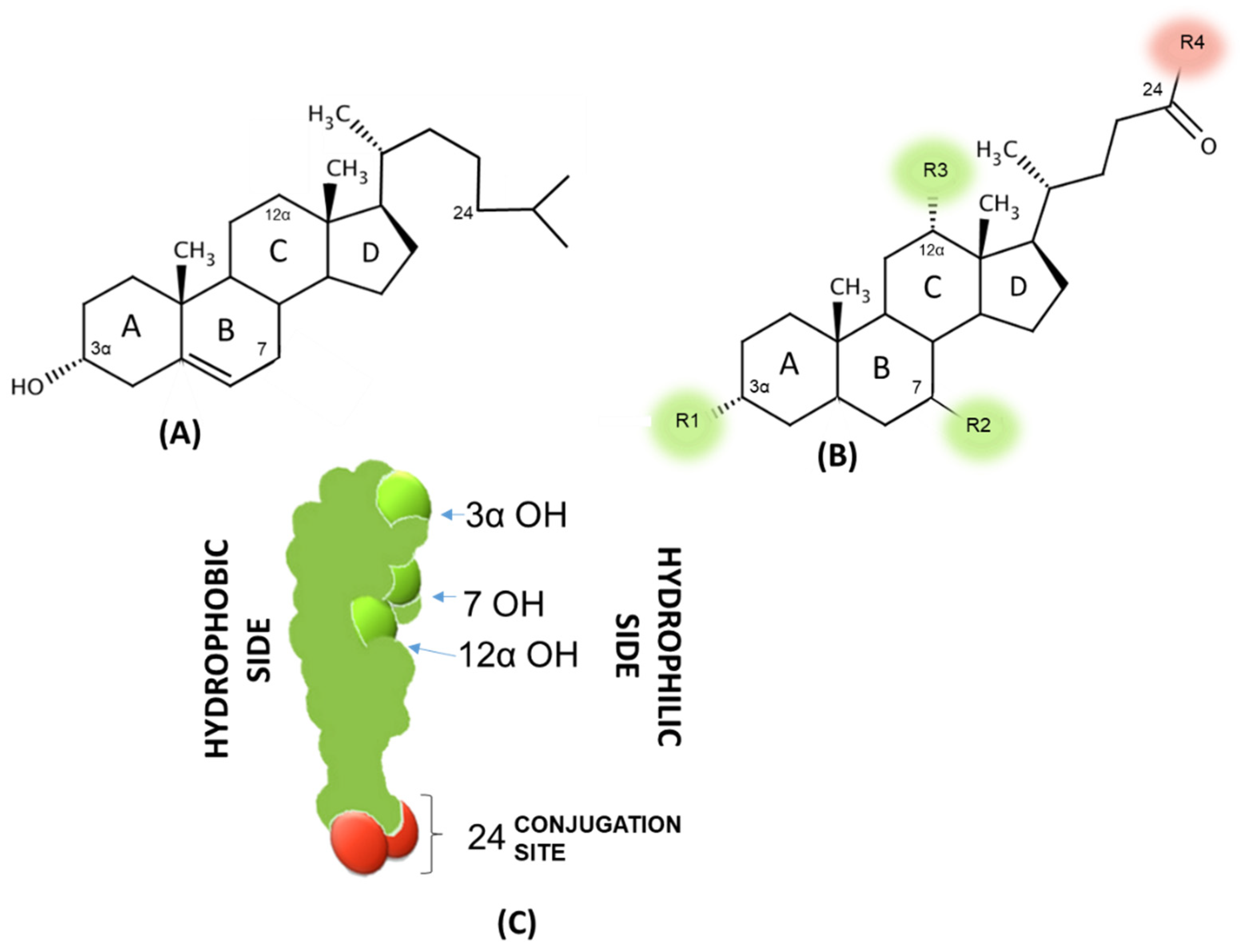 Nutrients 14 02964 g002
