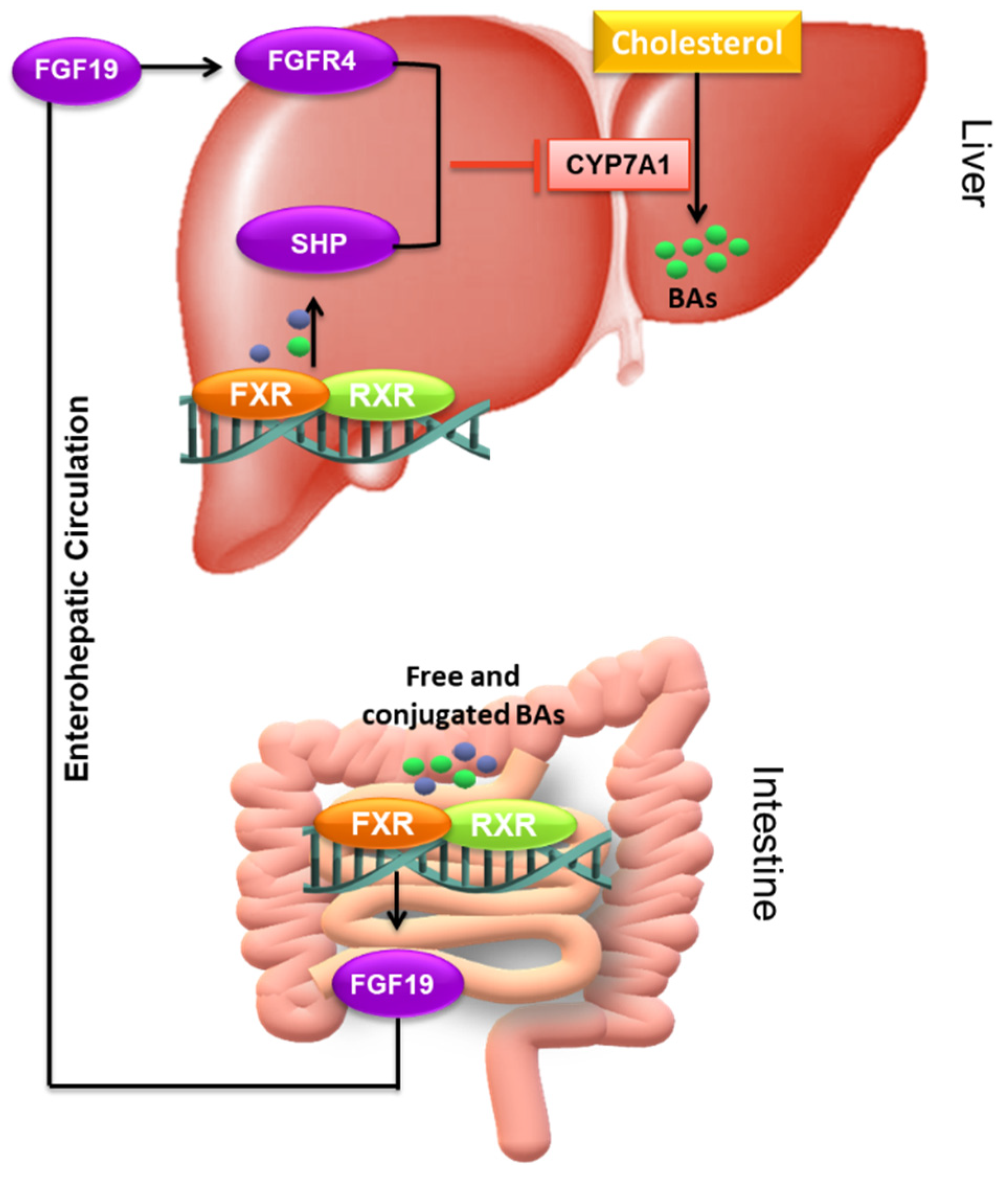Nutrients 14 02964 g005