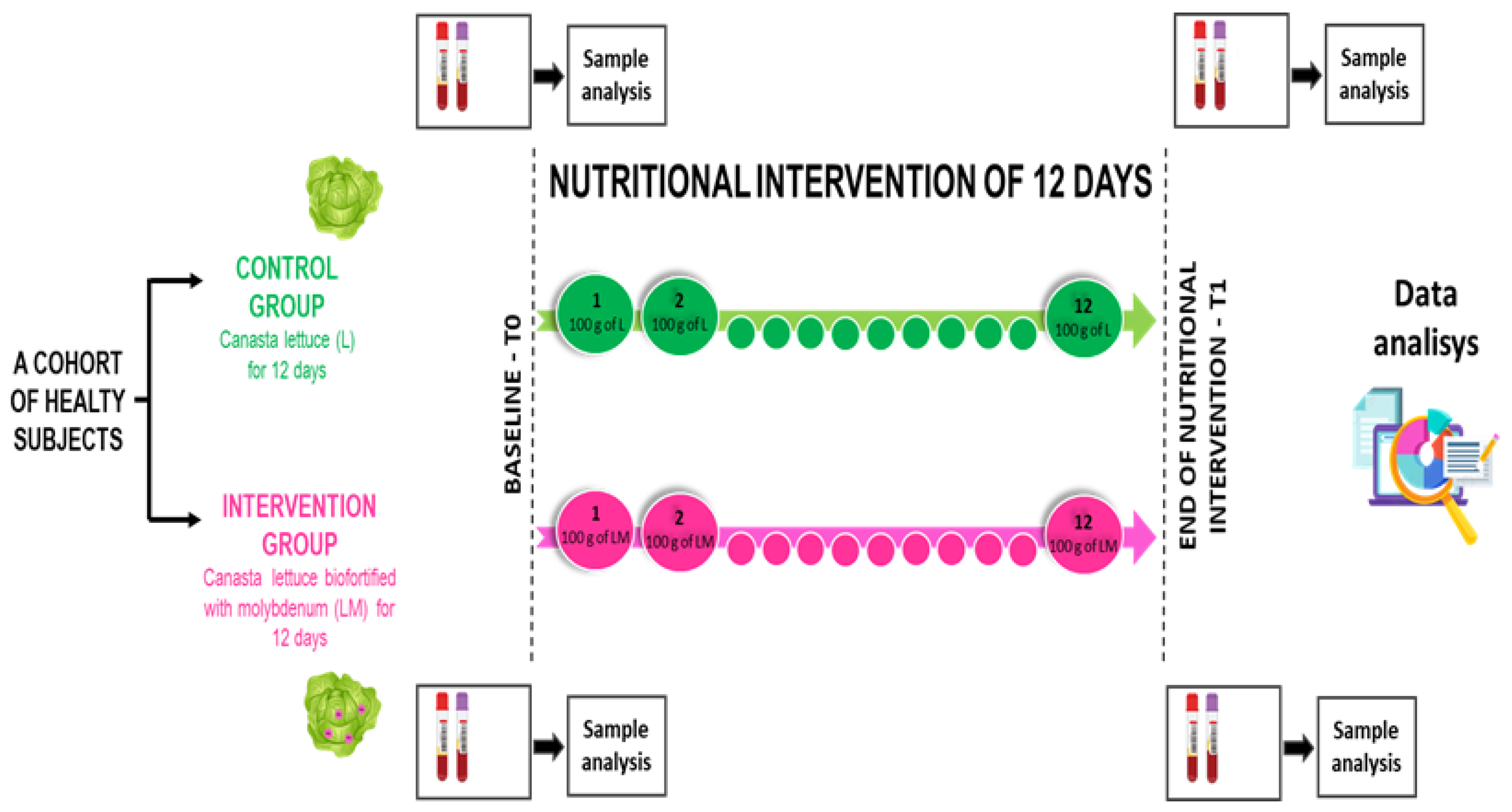 Nutrients 14 02971 g002