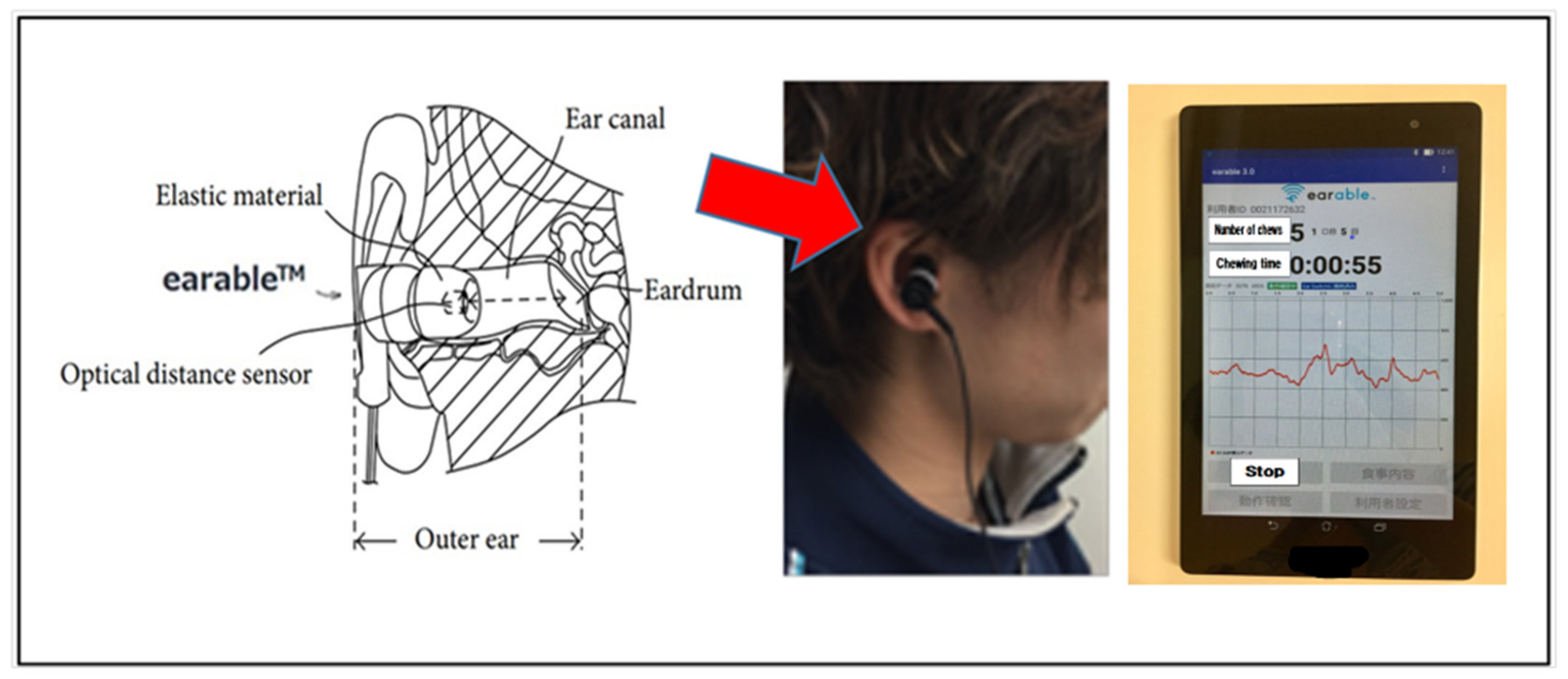 Nutrients 14 02990 g001