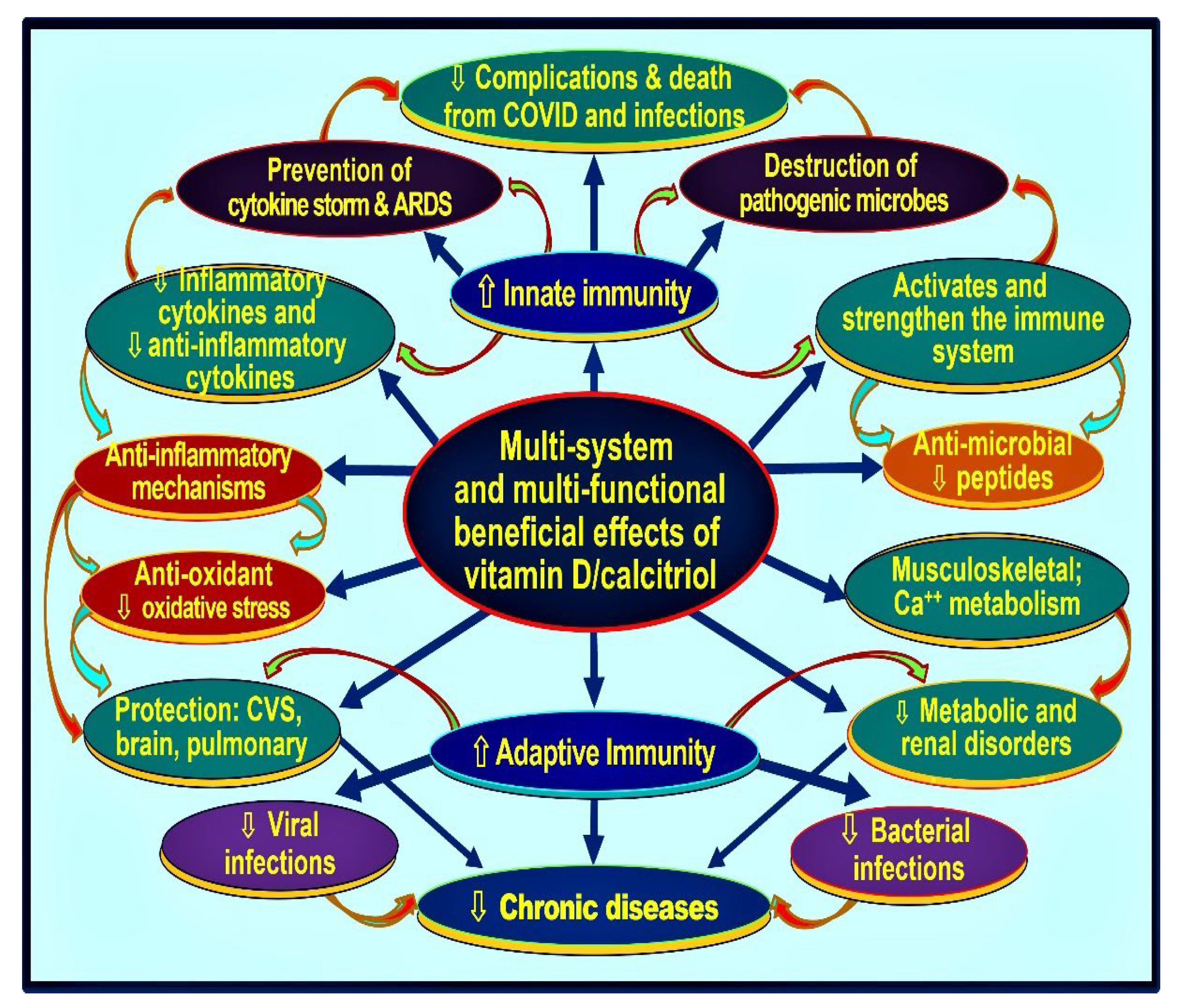 Nutrients 14 02997 g008 Nutrients 14 02997 g008