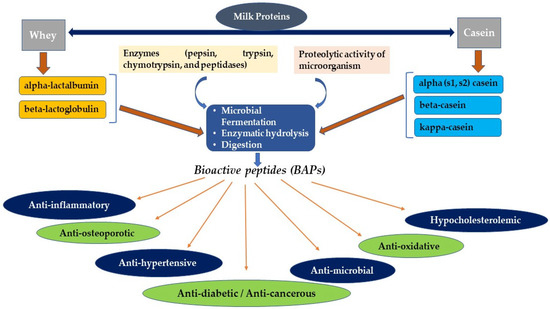 Nutrients | Free Full-Text | Health-Promoting And Therapeutic.