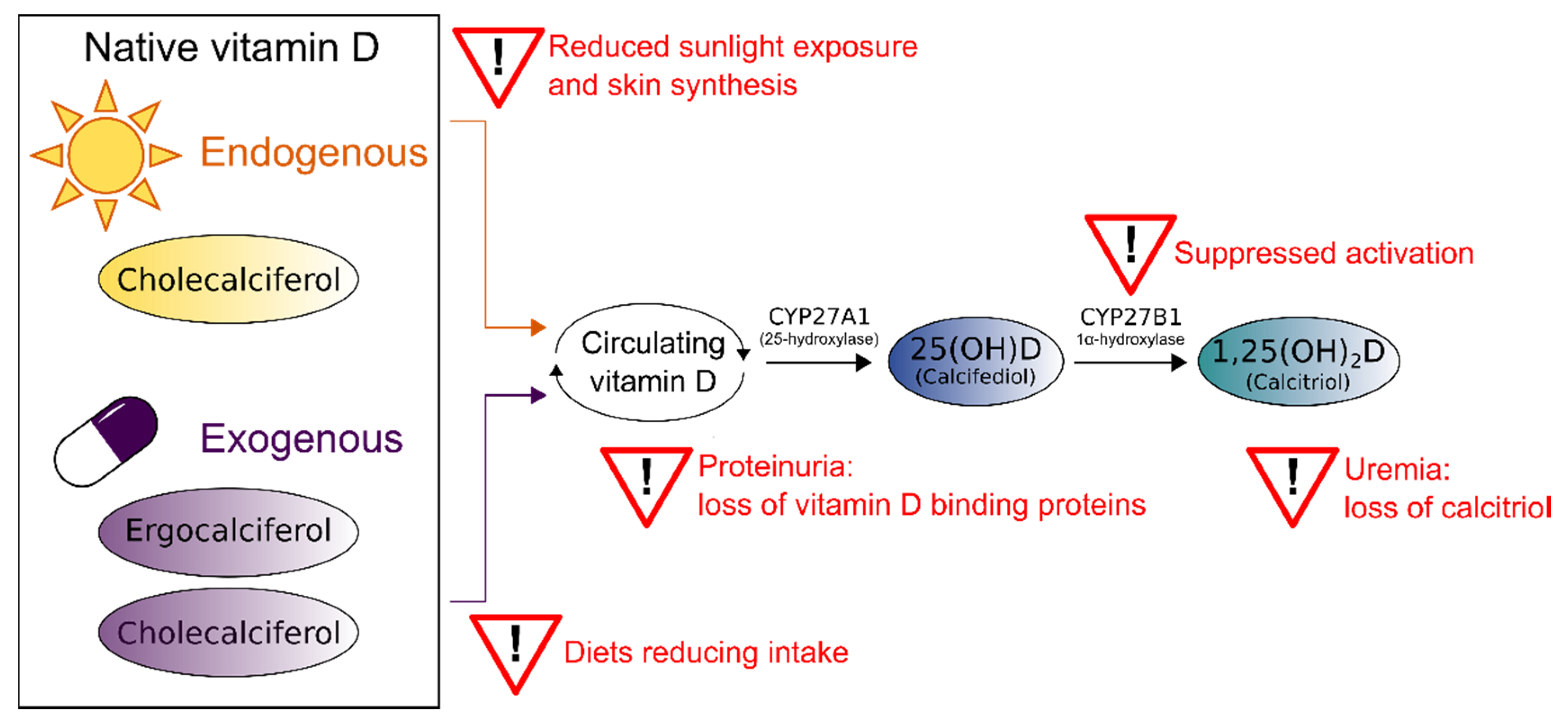Nutrients 14 03009 g001 Nutrients 14 03009 g001