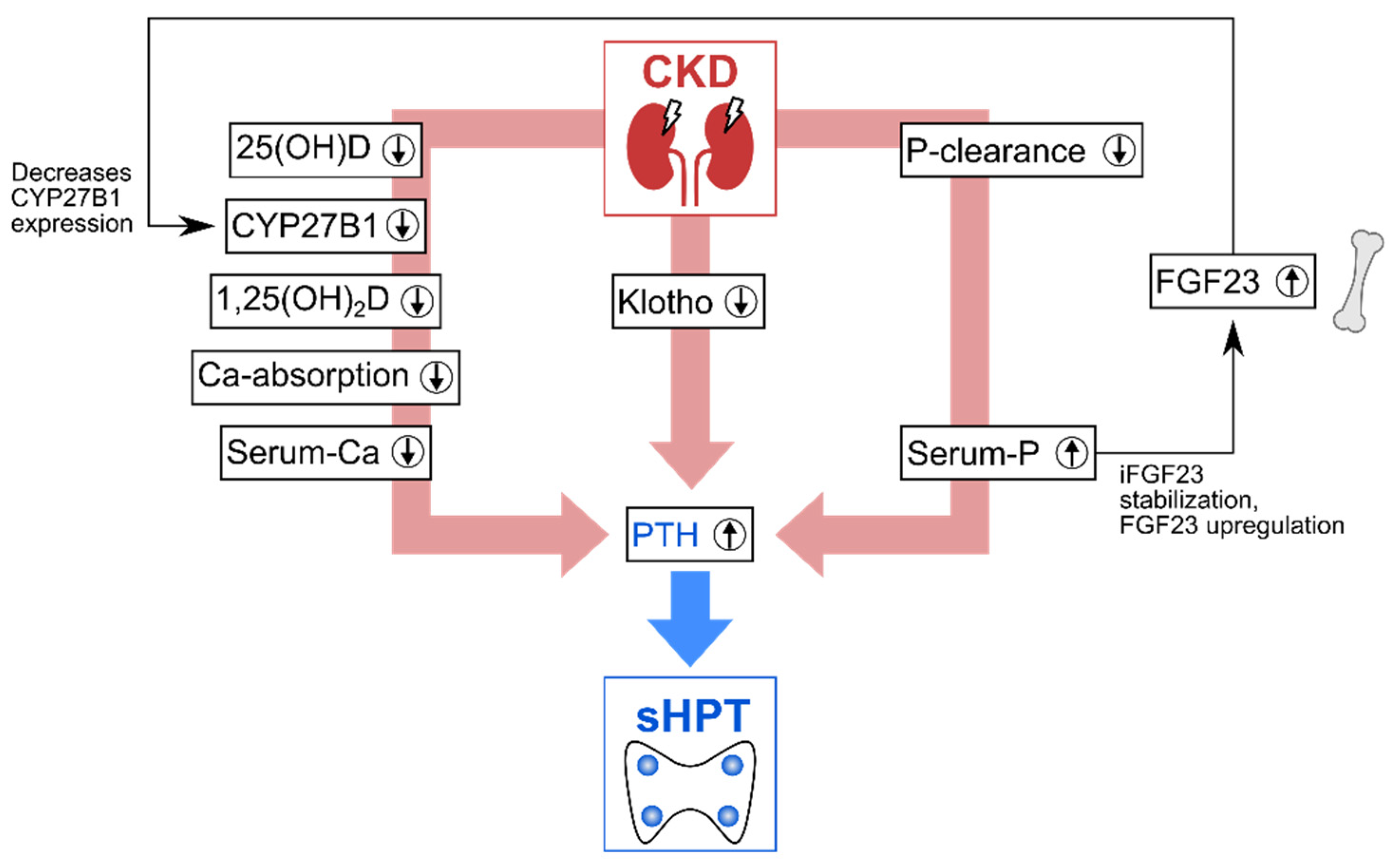 Nutrients 14 03009 g002 Nutrients 14 03009 g002