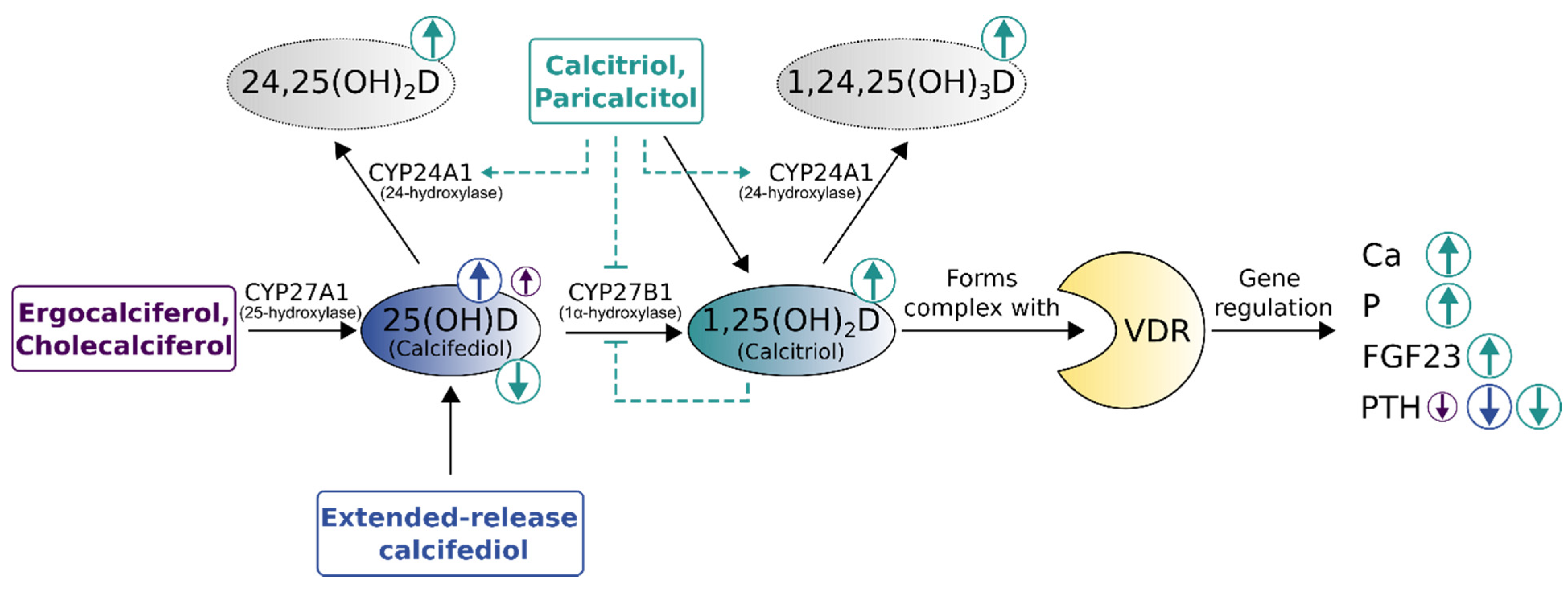 Nutrients 14 03009 g005 Nutrients 14 03009 g005