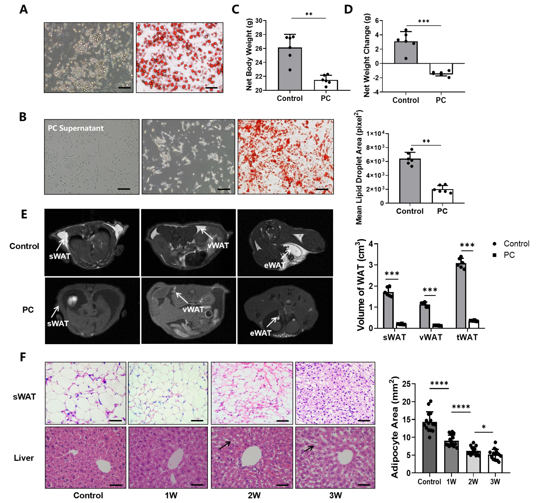 Nutrients 14 03013 g001