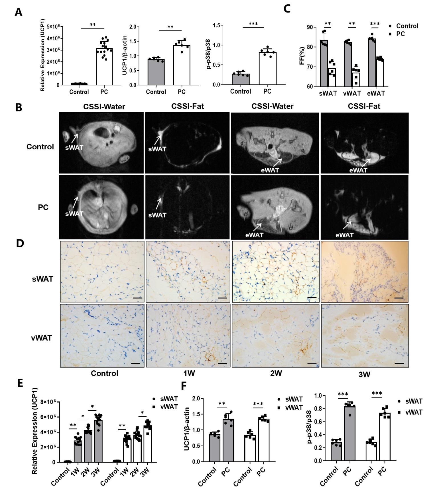 Nutrients 14 03013 g002